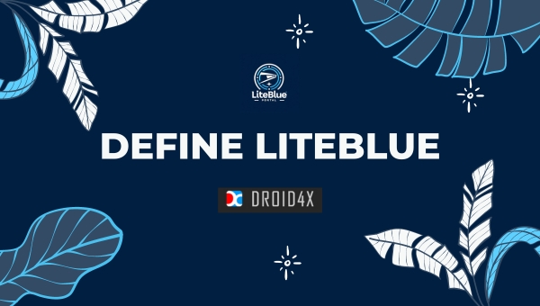 Define LiteBlue