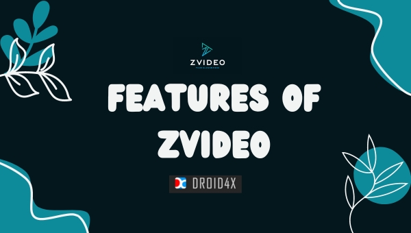 Features of Zvideo