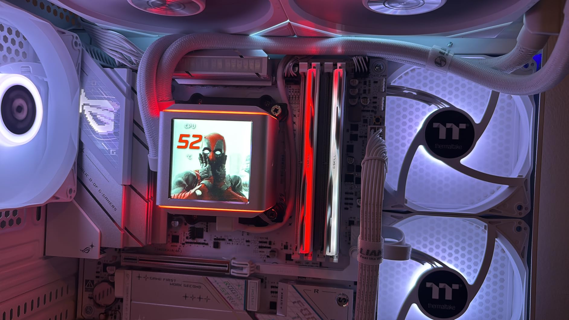 G.SKILL Trident Z5 RGB Series DDR5 RAM (Intel XMP 3.0 & AMD Expo) 32GB (2x16GB) 6000MT/s CL36-36-36-96 1.35V Desktop Computer Memory U-DIMM - Matte Black (F5-6000J3636F16GA2-TZ5RK) - Customer Photo 0