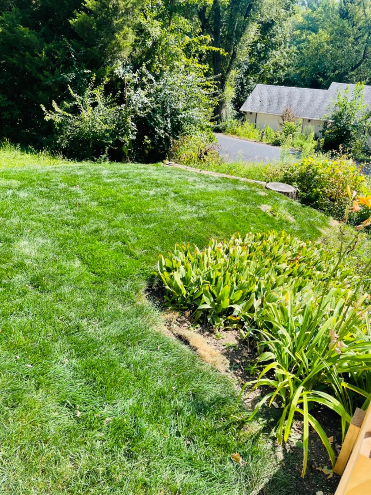Greenworks 60V 21in Self-Propelled Lawn Mower, (2) 4.0 Ah Battery Kit customer photo 2