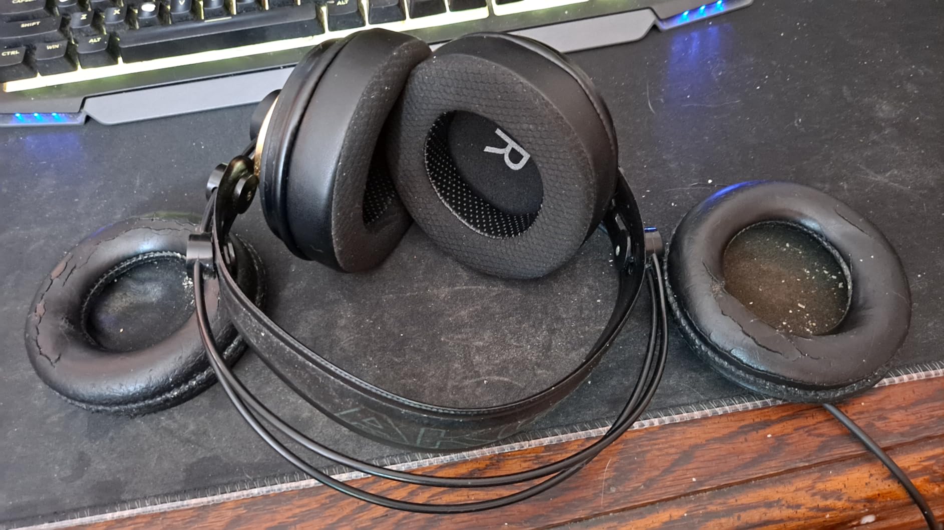 AKG K240STUDIO Semi-Open Studio Headphones | XXL transducers with Varimotion diaphragms and 55 Ohm impedance for mixing, mastering and playback customer photo 2