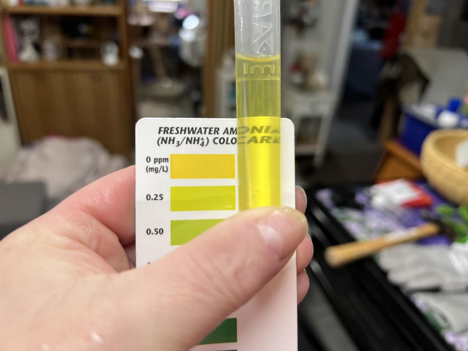 API AMMONIA 130-Test Freshwater and Saltwater Aquarium Water Test Kit customer photo 1