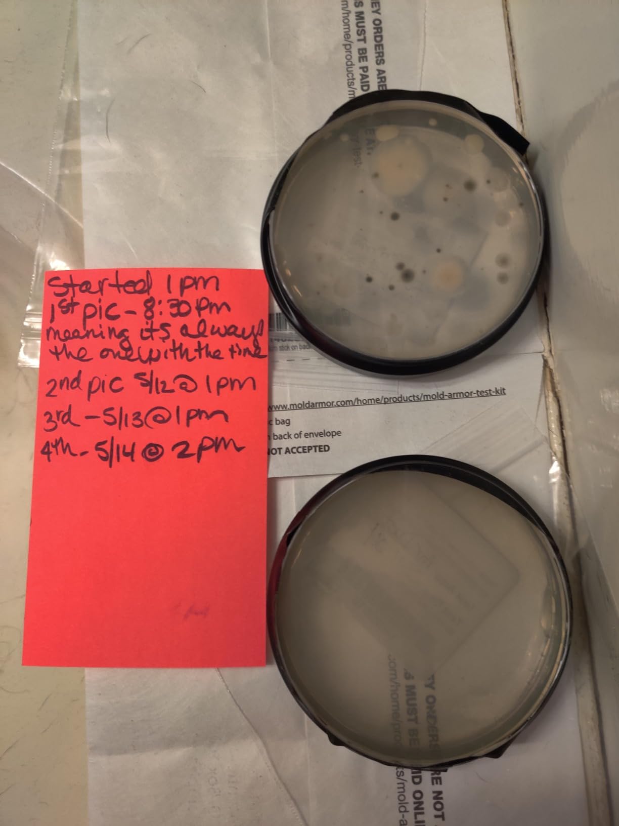 MOLD ARMOR Do It Yourself Mold Test Kit customer photo 2