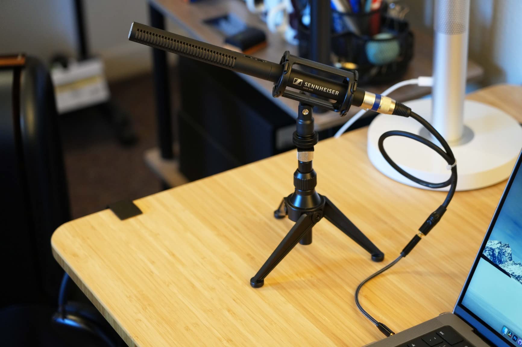Sennheiser Pro Audio MKE600 Supercardioid Shotgun Microphone with XLR-3M and Low-Cut Filter customer photo 2