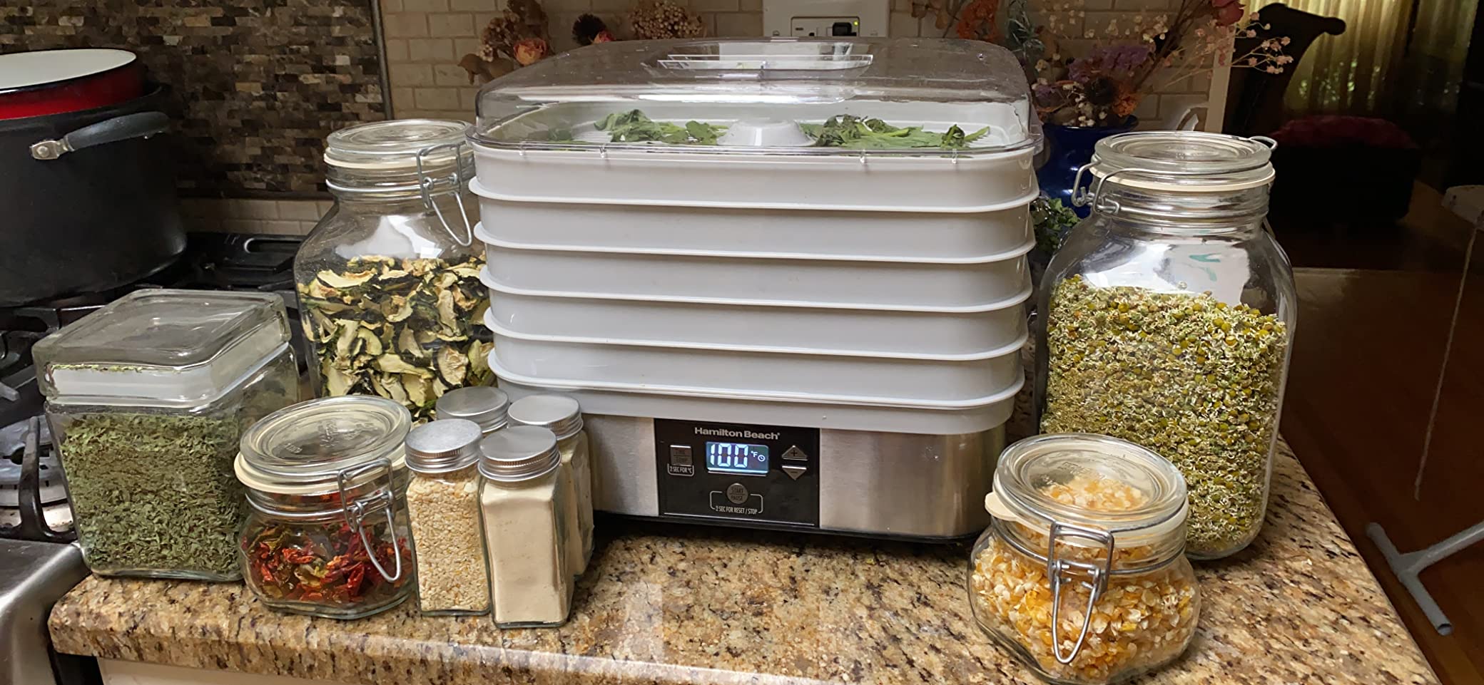 Hamilton Beach Digital Food Dehydrator for Fruit, Jerky, Vegetables & More customer photo 2