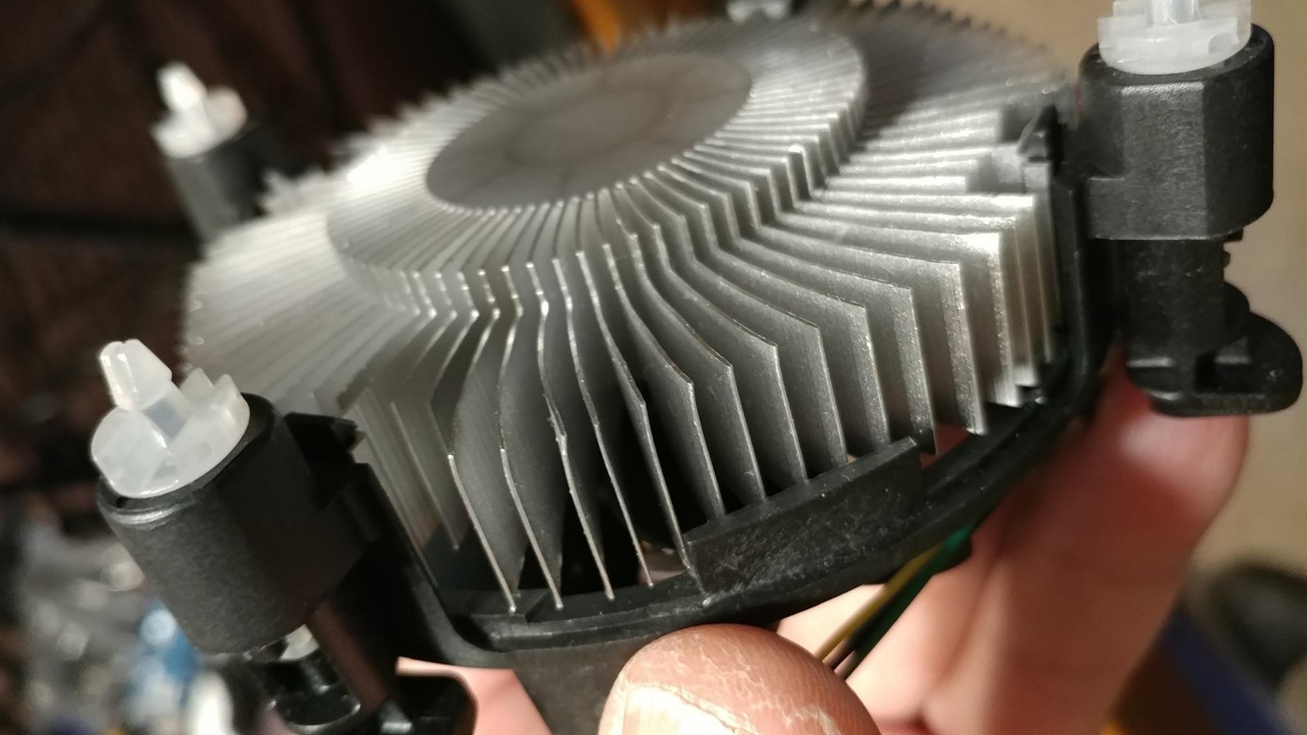 Intel Celeron G3900 2.80GHz 2M LGA1151 2C/2T Skylake Desktop Processor (BX80662G3900) customer photo 1