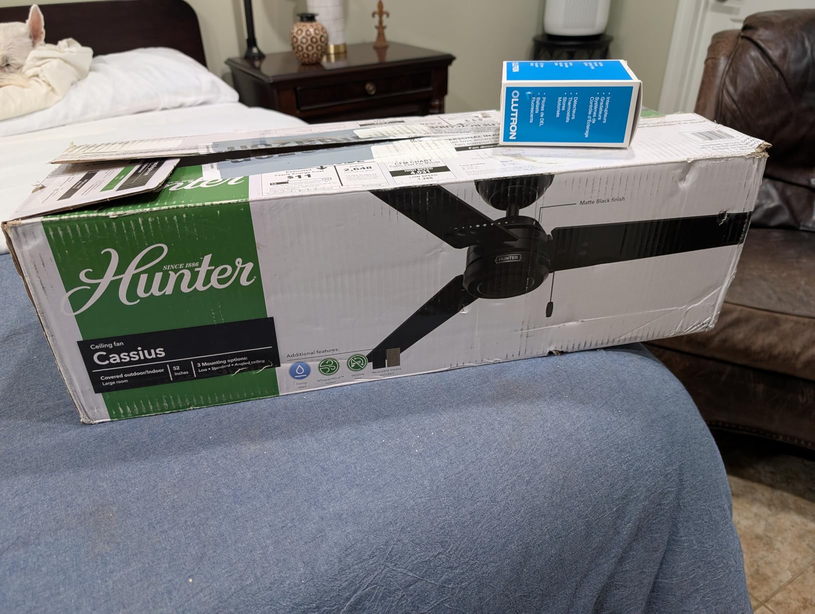 Hunter Cassius, Outdoor or Indoor, Ceiling Fan, 52 inch, Matte Black customer photo 1