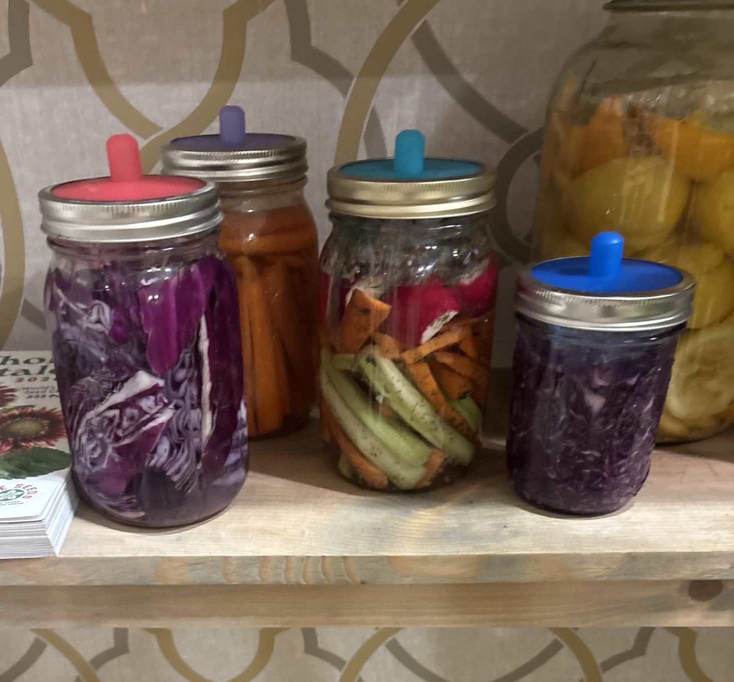 Masontops Pickle Pipes - Airlock Fermentation Lids - Fermentation Kit For Wide Mouth Mason Jar Sauerkraut & Pickle Kit - Fermentation Jar Not Included customer photo 1