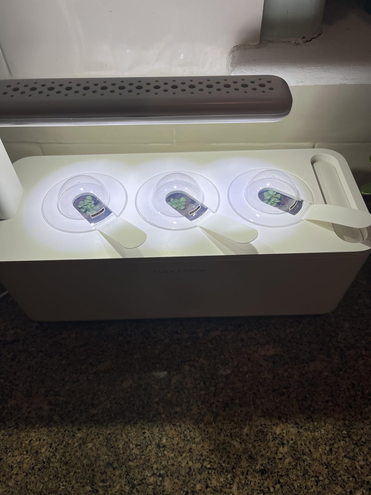 Click & Grow Indoor Herb Garden Kit with Grow Light | Smart Garden for Home Kitchen Windowsill (3 Basil Pods Included), White customer photo 1
