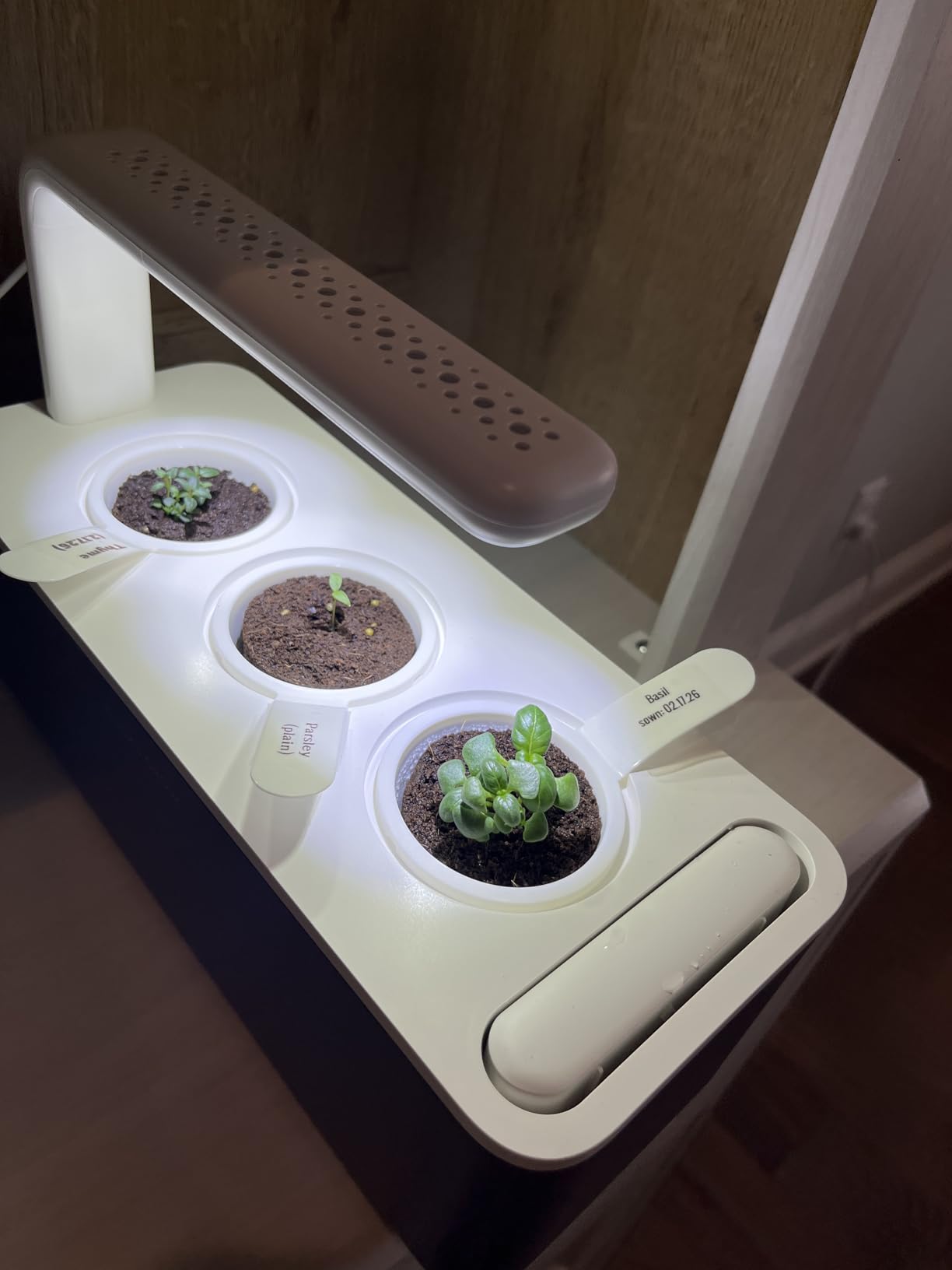 Click & Grow Indoor Herb Garden Kit with Grow Light | Smart Garden for Home Kitchen Windowsill (3 Basil Pods Included), White customer photo 2