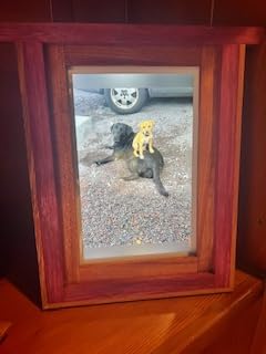 Skylight Digital Picture Frame, Load from Phone Capability, 10