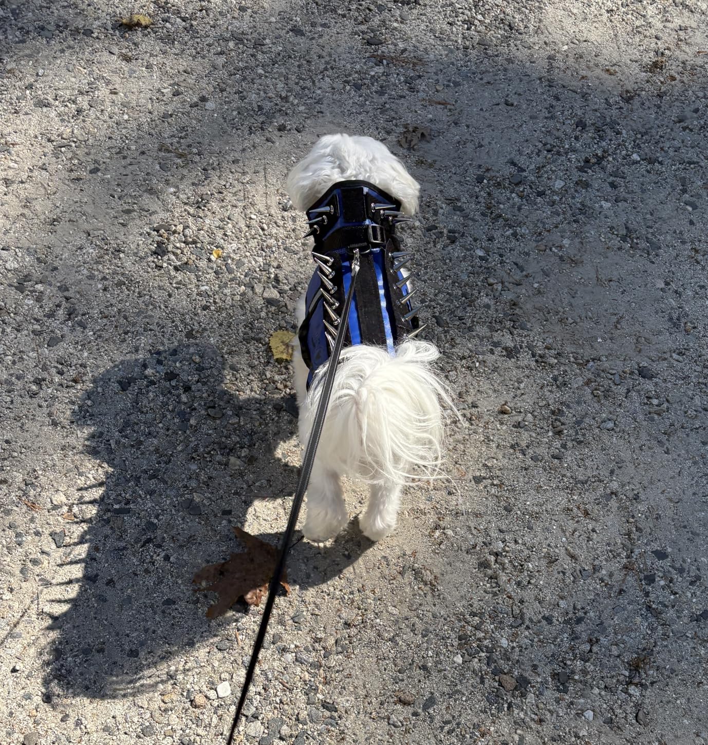 CoyoteVest Dog Harness | Stab-Resistant Protective Vest | Coyote Vest for Dogs | Defends Against Coyotes, Dogs, Birds of Prey | Reflective Safety, Made in USA (X-Small, Neon Pink) customer photo 2