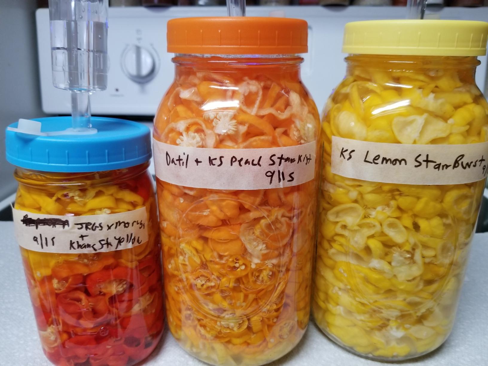 Jillmo Fermentation Lids for Wide Mouth Mason Jars, Stainless Steel Auto Venting Fermenting Lid Kit with Airlocks & Silicone Grommets for Pickles, Kimchi & Sauerkraut, 4 Pack, No Jars Included customer photo 1