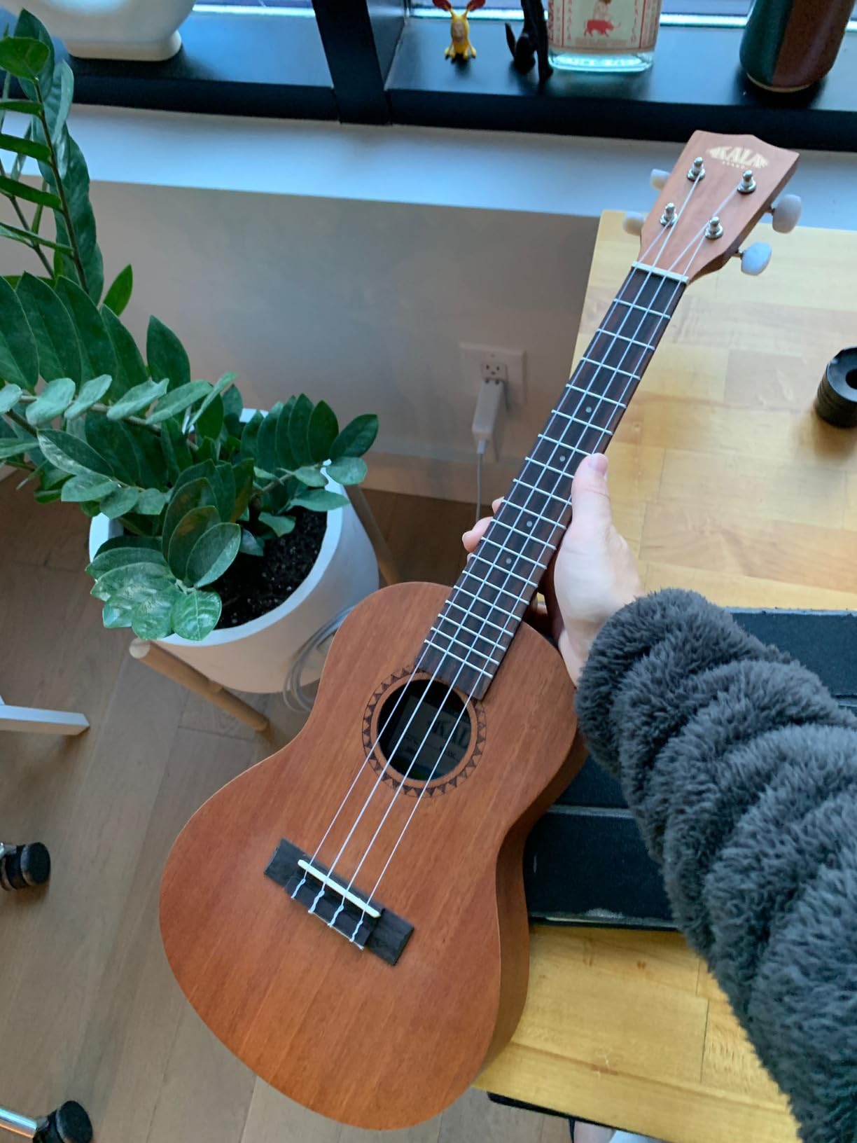 Kala KA-15 Series Satin Mahogany Concert Ukulele with Rosewood Fingerboard, Aquila Super Nylgut Strings, 24 Inches customer photo 1