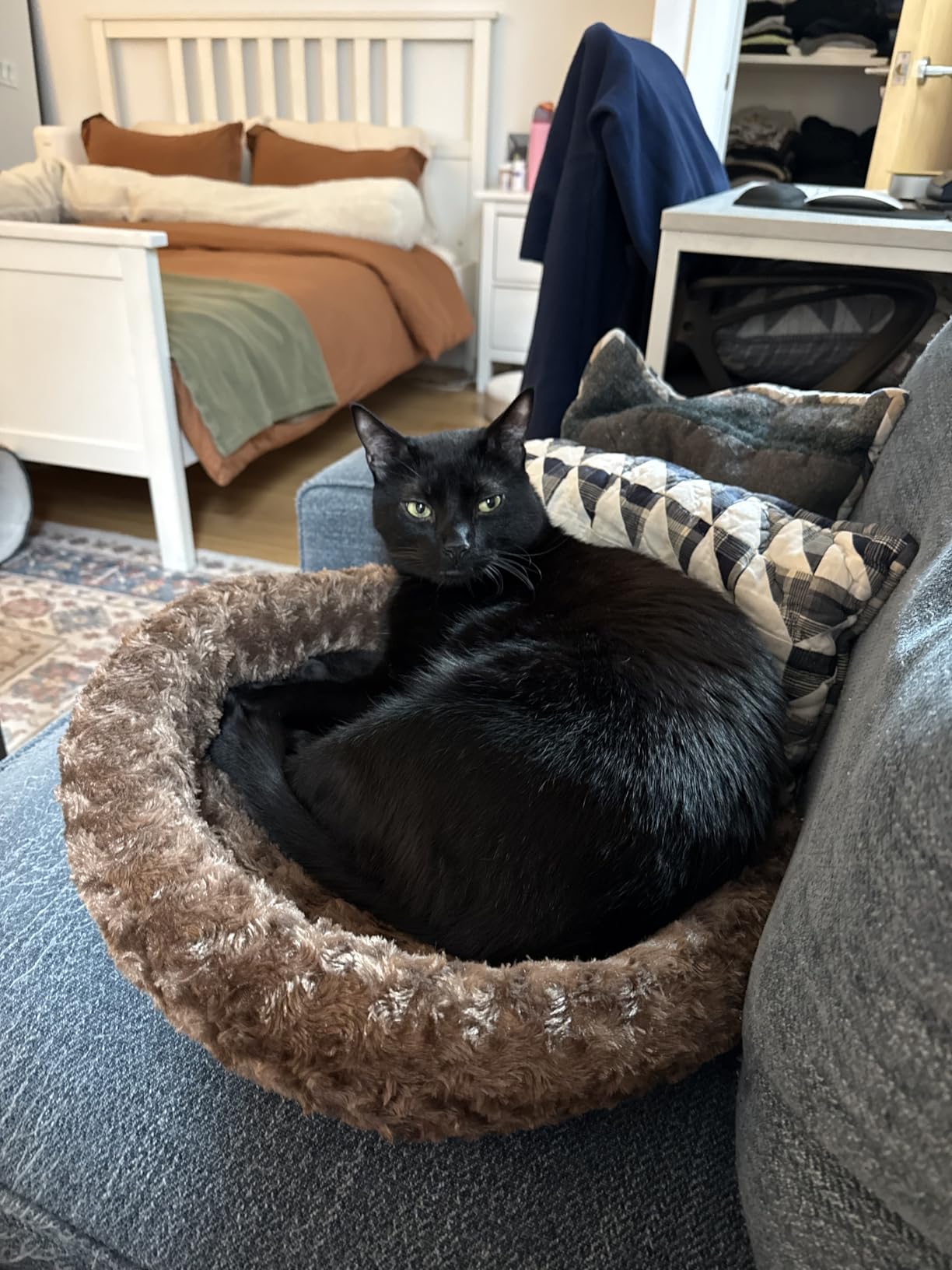 K&H Pet Products Bolster Heated Cat Bed for Indoor Cats, Thermo-Kitty Fashion Splash Orthopedic Foam Heated Pet Bed for Cats or Dogs, Waterproof Pet Heater, Safety Listed Small 18in Round Blue customer photo 2