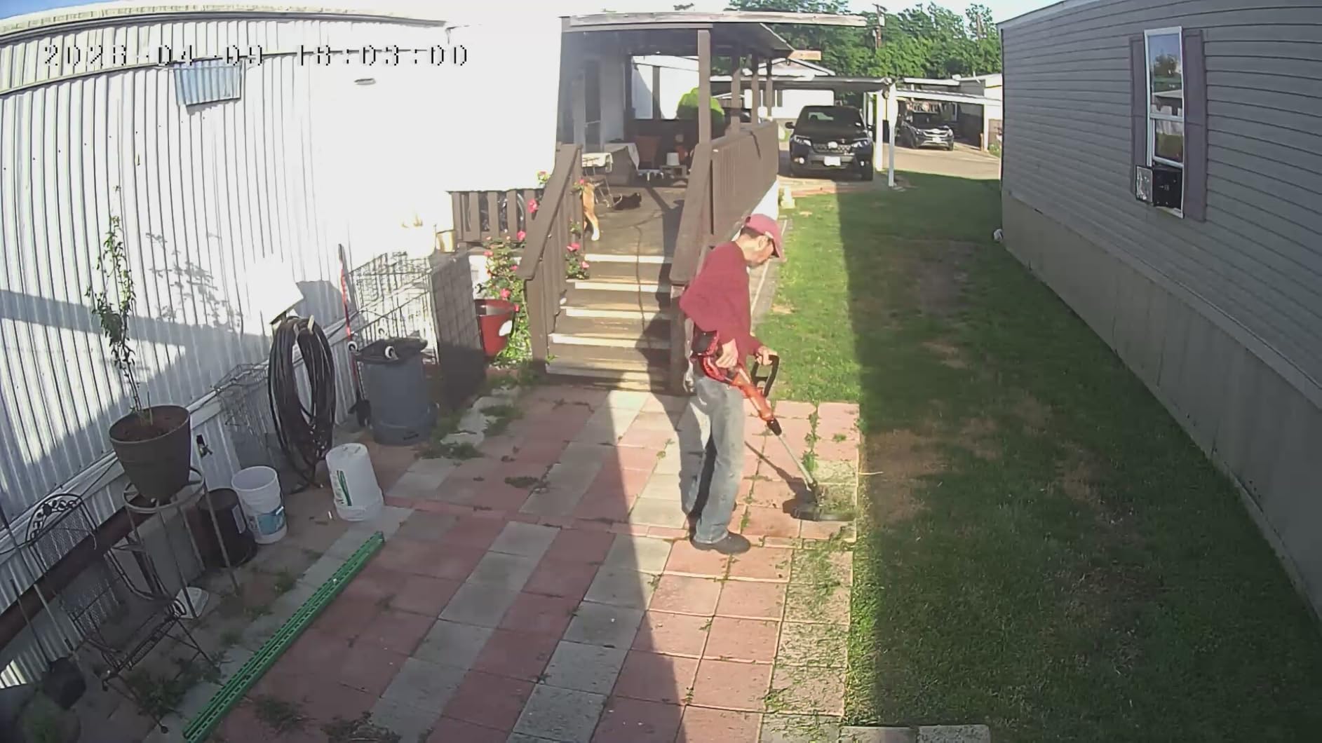 CRAFTSMAN V20 Weed Wacker Cordless String Trimmer and Edger, Weed Eater Includes 2.0 Ah Battery and Charger, Lightweight, Extended Runtime, 2 Speed (CMCST900D1) customer photo 1