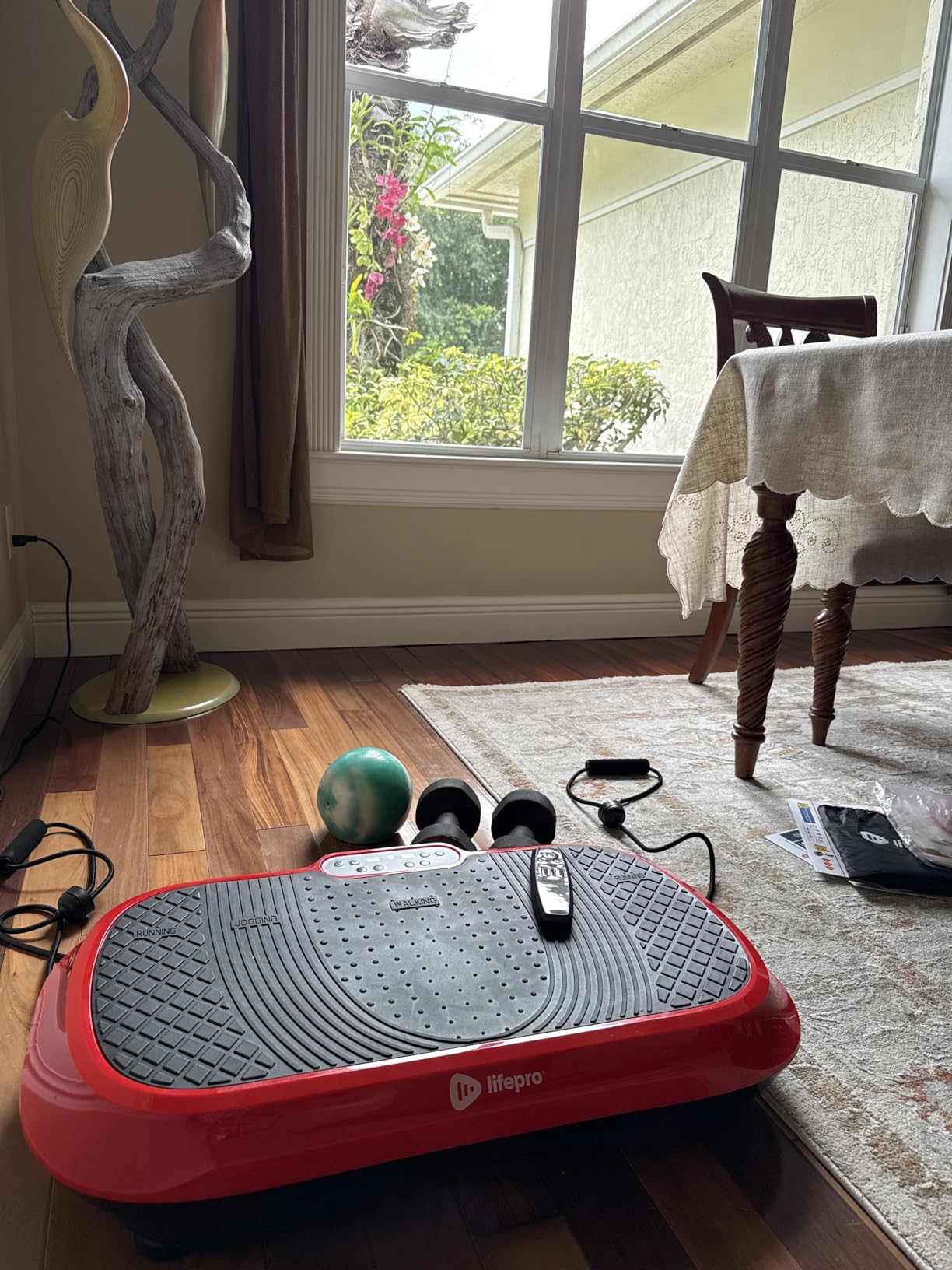 Lifepro Waver Vibration Plate Exercise Machine with 99 Speeds & 10 Presets | Resistance Bands, Non-Slip Surface, 330 lbs Capacity - Vibration Plate for Lymphatic Drainage, Body Toning, Full-Body Workout customer photo 1