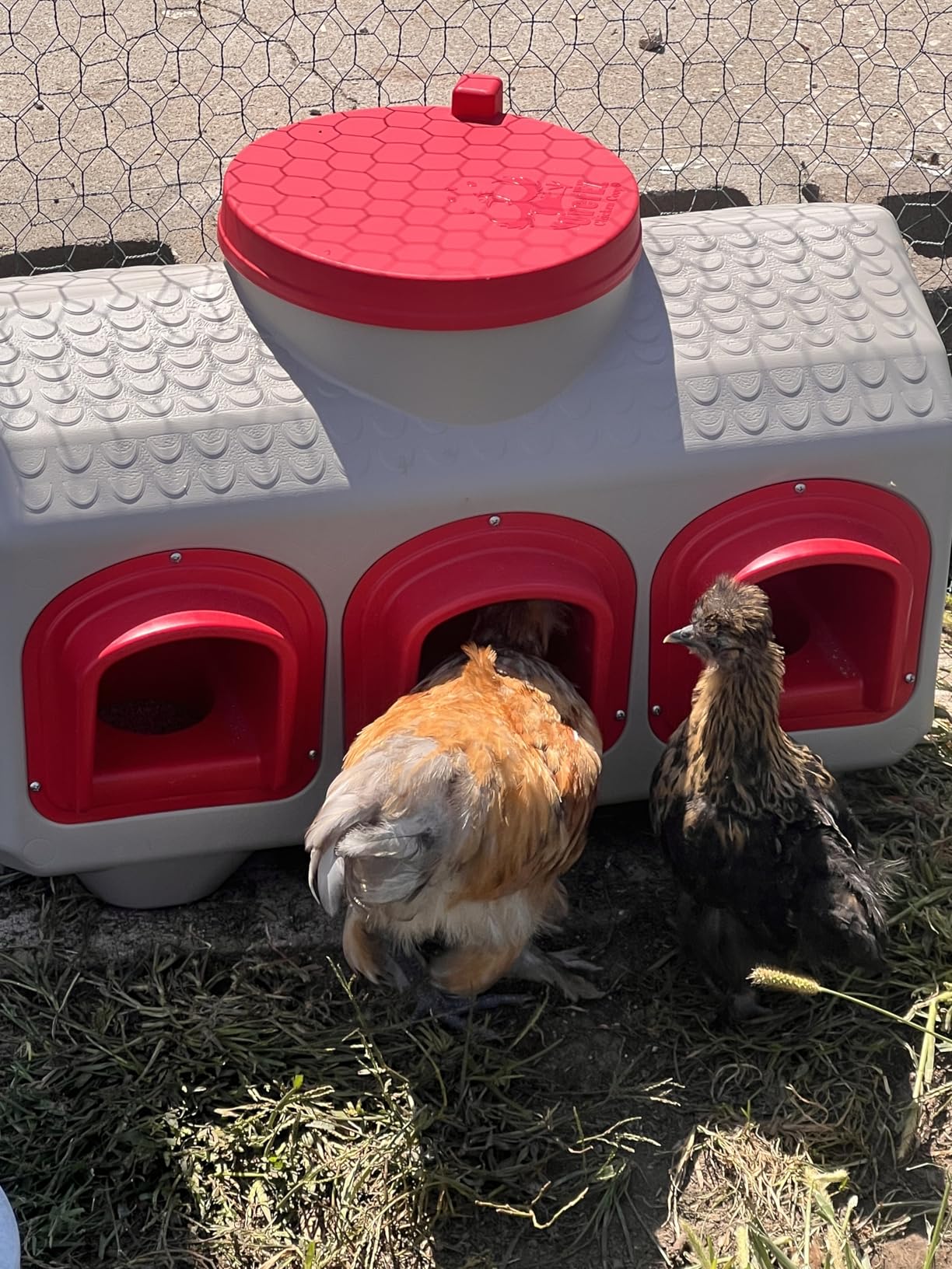 OverEZ Chicken Feeder - Holds 50 Pounds of Feed - Inside or Outside Hen Coop - Large Gravity Fed Automatic Poultry Dispenser customer photo 2