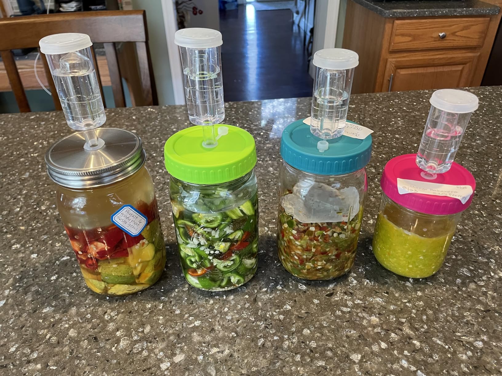 Fermentation Lids, 6 Set Fermentation Kit for Wide Mouth Jars, 6 Stainless Steel Fermenting Lids with 6 Silicone Grommets, 6 Airlocks, 6 Silicone Rings(Jars Not Included) customer photo 2