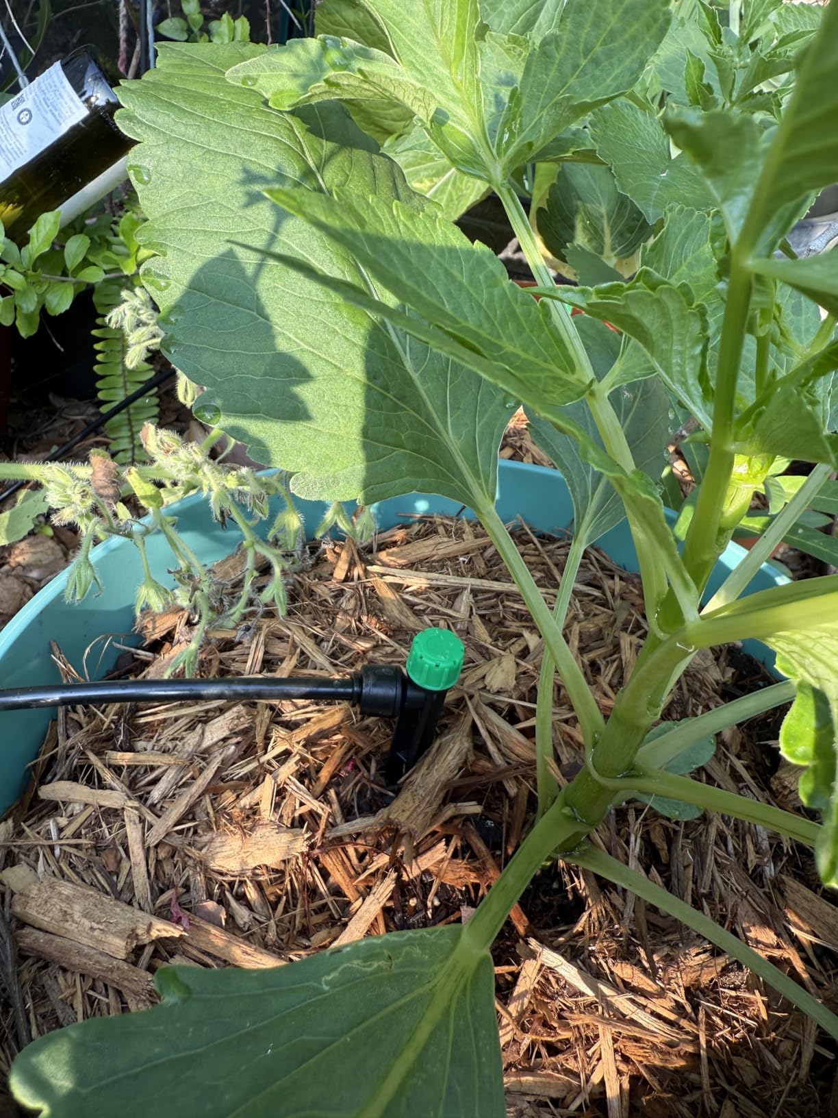 CARPATHEN Drip Irrigation System Kit - Complete Premium Garden Watering System with Adjustable Sprinkler Emitters, 5/16