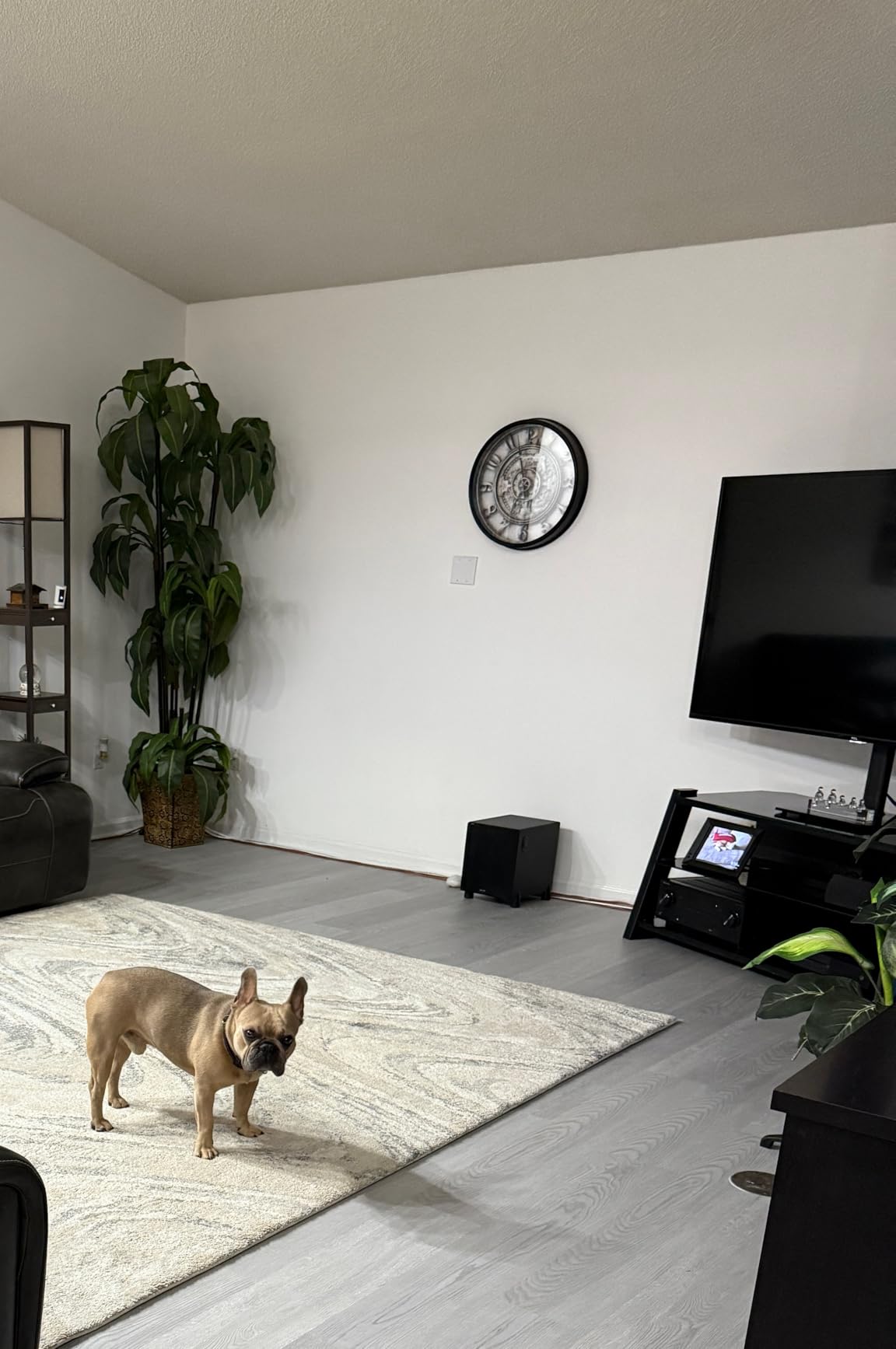 EVEO Cable Management Under Desk Kit (6 Units) - Self-Adhesive 96'' J Channel 6X16 - Black customer photo 2