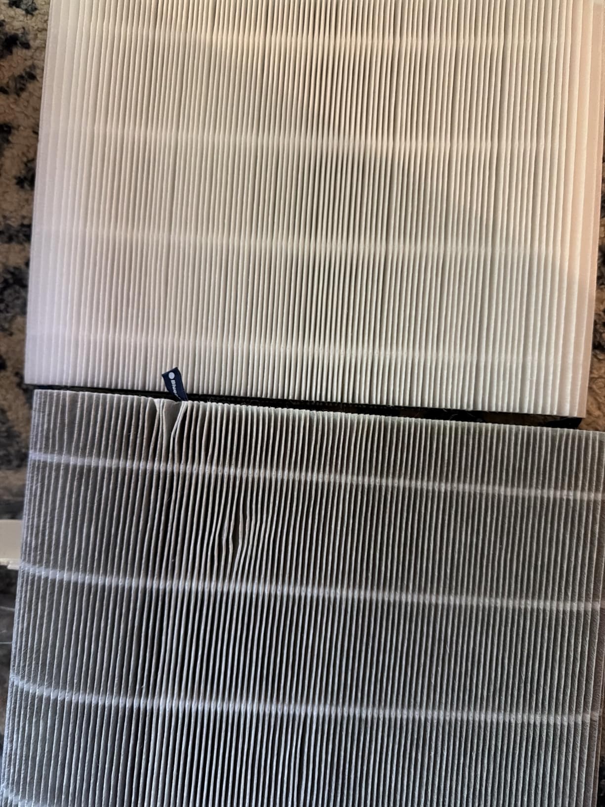 BLUEAIR Air Purifier for Home HEPA Air Purifiers for Pets, Allergies, Dust, Nursery, Office HEPASilent Techonolgy Air Cleaner for Small Rooms 432 sq ft coverage - Blue Pure 511 customer photo 1