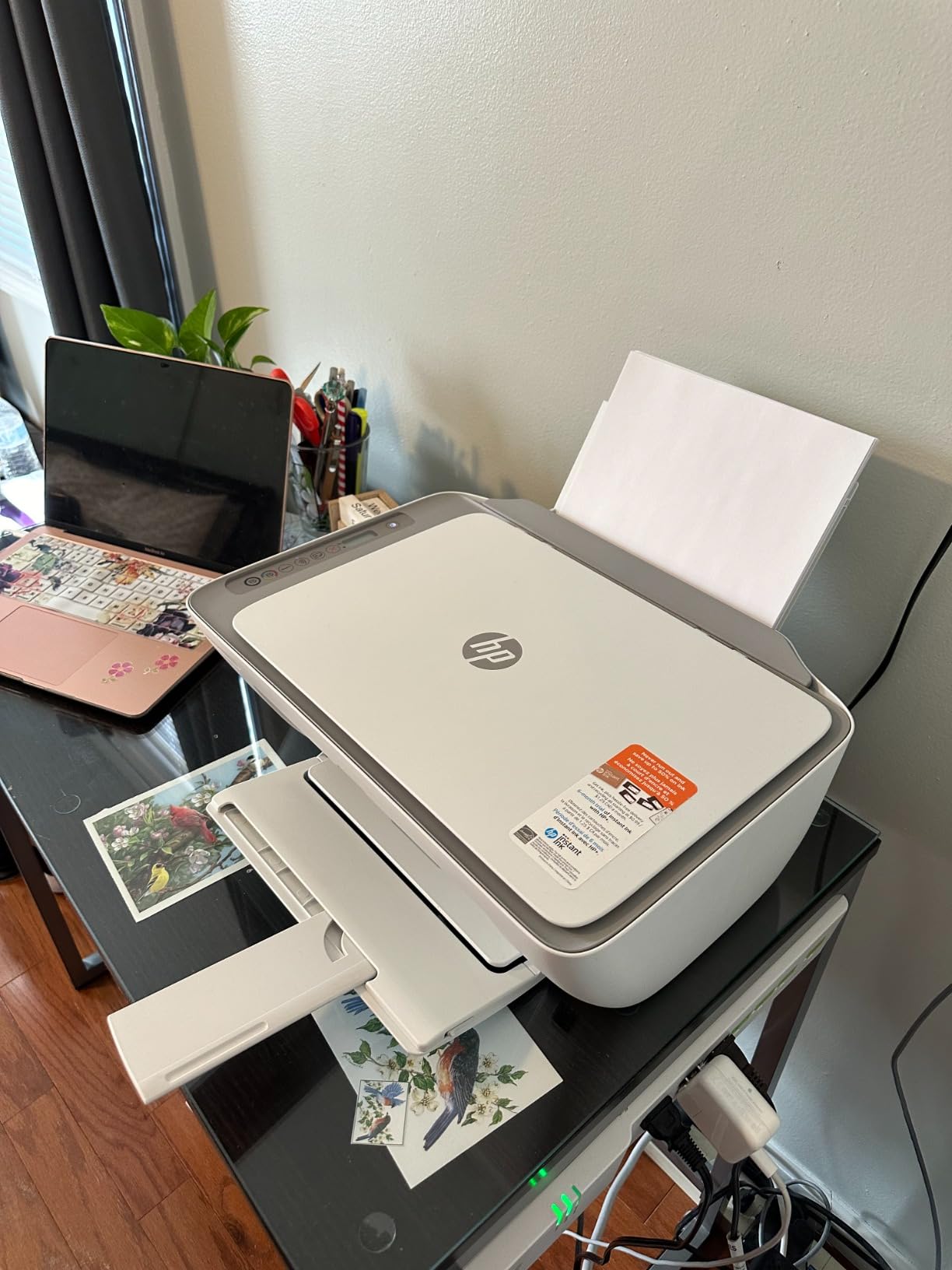 HP DeskJet 2755e Wireless Color Inkjet Printer, Print, Scan, Copy, Easy Setup, Mobile Printing customer photo 1