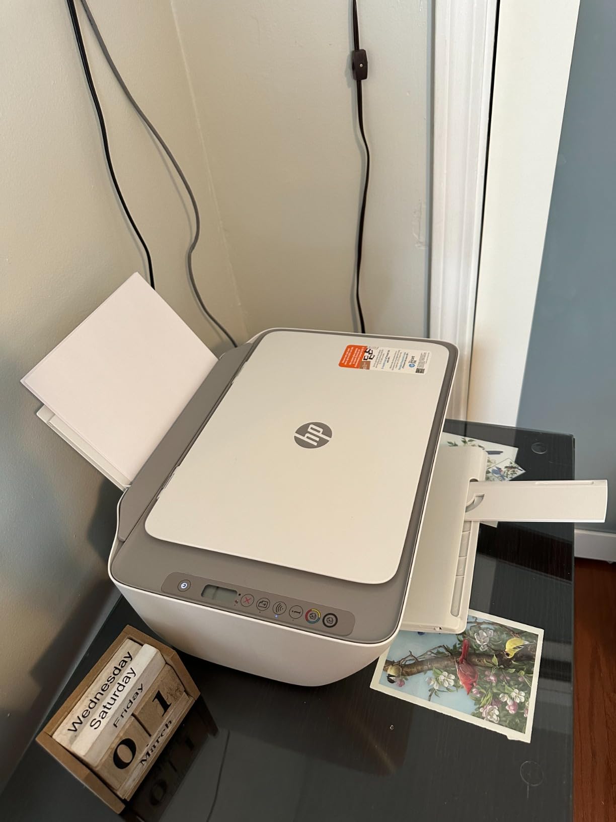 HP DeskJet 2755e Wireless Color Inkjet Printer, Print, Scan, Copy, Easy Setup, Mobile Printing customer photo 2