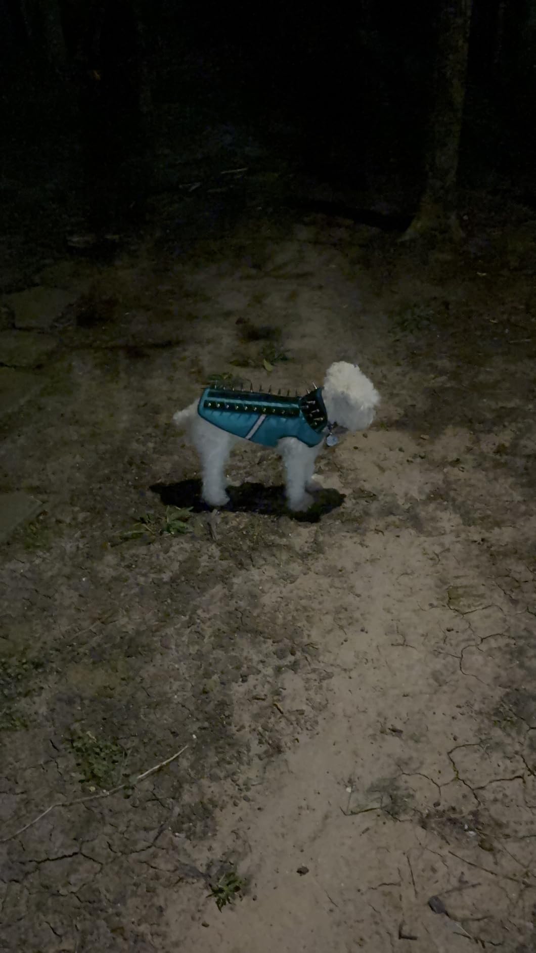 CoyoteVest SpikeVest Dog Harness | Stab-Resistant Protective Vest | Coyote Vest for Dogs | Defends Against Coyotes, Dogs, Birds of Prey | Reflective Safety, Made in USA (XS-Neon Pink) customer photo 1