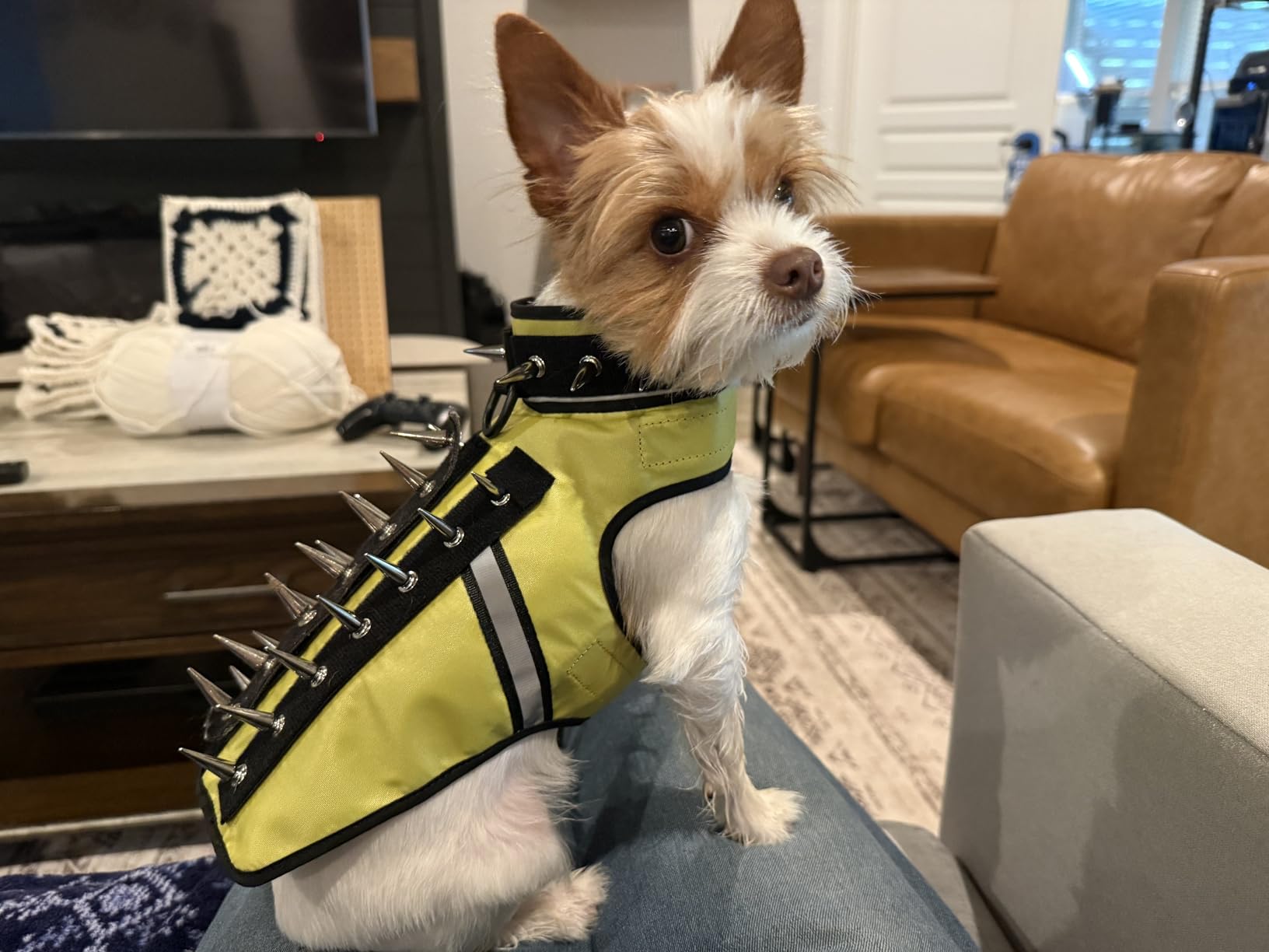 CoyoteVest SpikeVest Dog Harness | Stab-Resistant Protective Vest | Coyote Vest for Dogs | Defends Against Coyotes, Dogs, Birds of Prey | Reflective Safety, Made in USA (XS-Neon Pink) customer photo 2