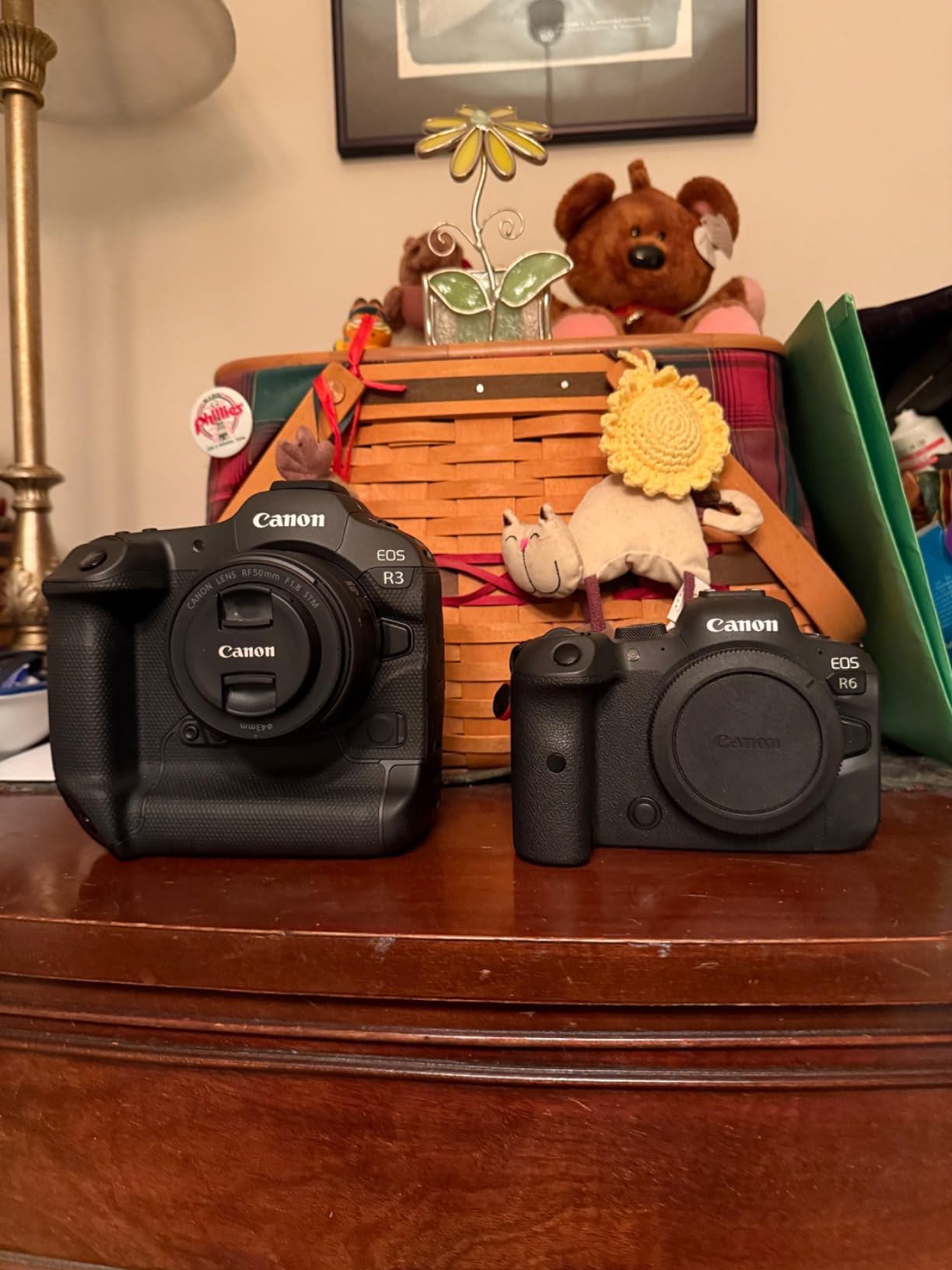 Canon EOS R3 Mirrorless Camera (Body Only), Full-Frame Camera, 6K 60p RAW, 4K 120p Video, 24.1 Megapixel CMOS Sensor, DIGIC X Image Processor customer photo 1