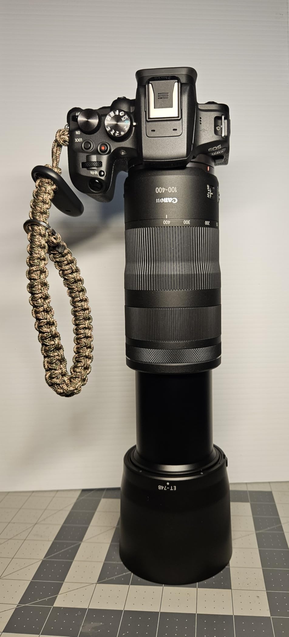 Canon RF100-400mm F5.6-8 IS USM Telephoto Lens for EOS R Series Mirrorless Cameras customer photo 1