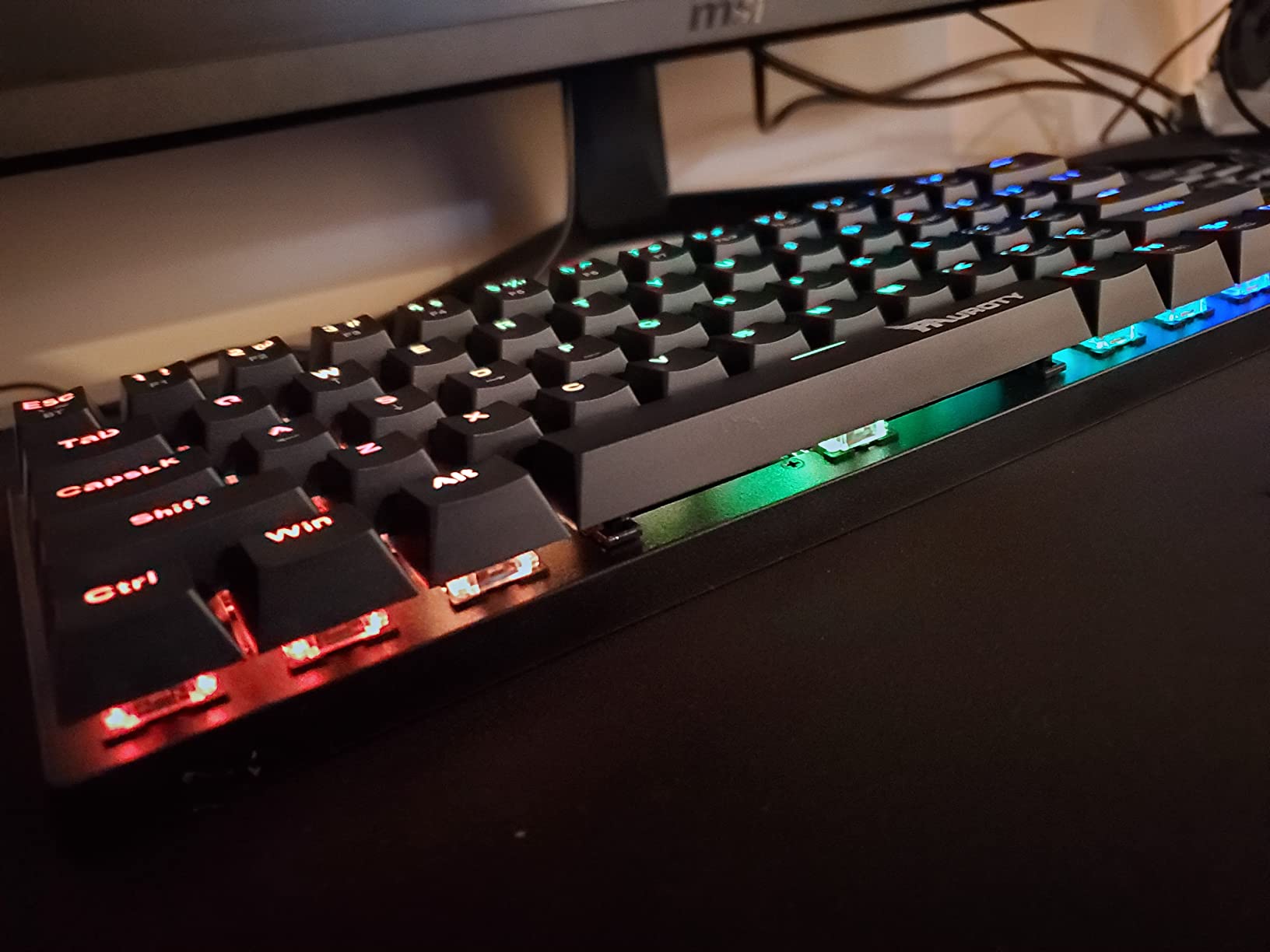 60% Wireless Mechanical Gaming Keyboard, Clicky Blue Switch RGB Backlit | Pauroty Triple Mode 2.4G/USB-C/Bluetooth Gaming Keyboard, 61 Keys Rechargeable Mini Keyboard for iPad Mac PC Xbox customer photo 1