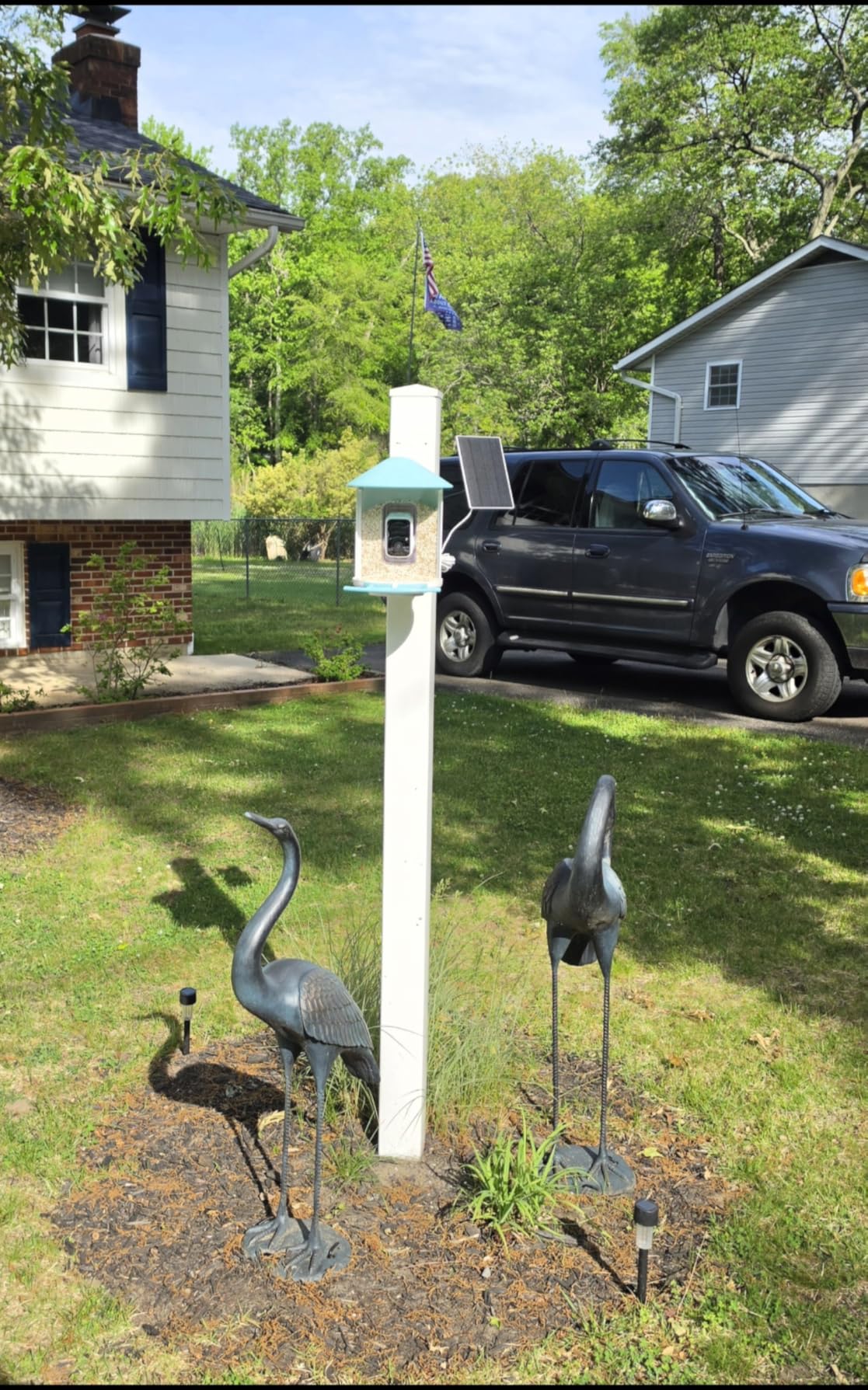 NETVUE by Birdfy Smart Bird Feeder with 2K HD AI Camera Solar Powered, Wireless Wildbird Watching, Live Stream&Color Night Vision, Auto-Capture & Notify, Free Cloud Storage(AI by Subscription) customer photo 2