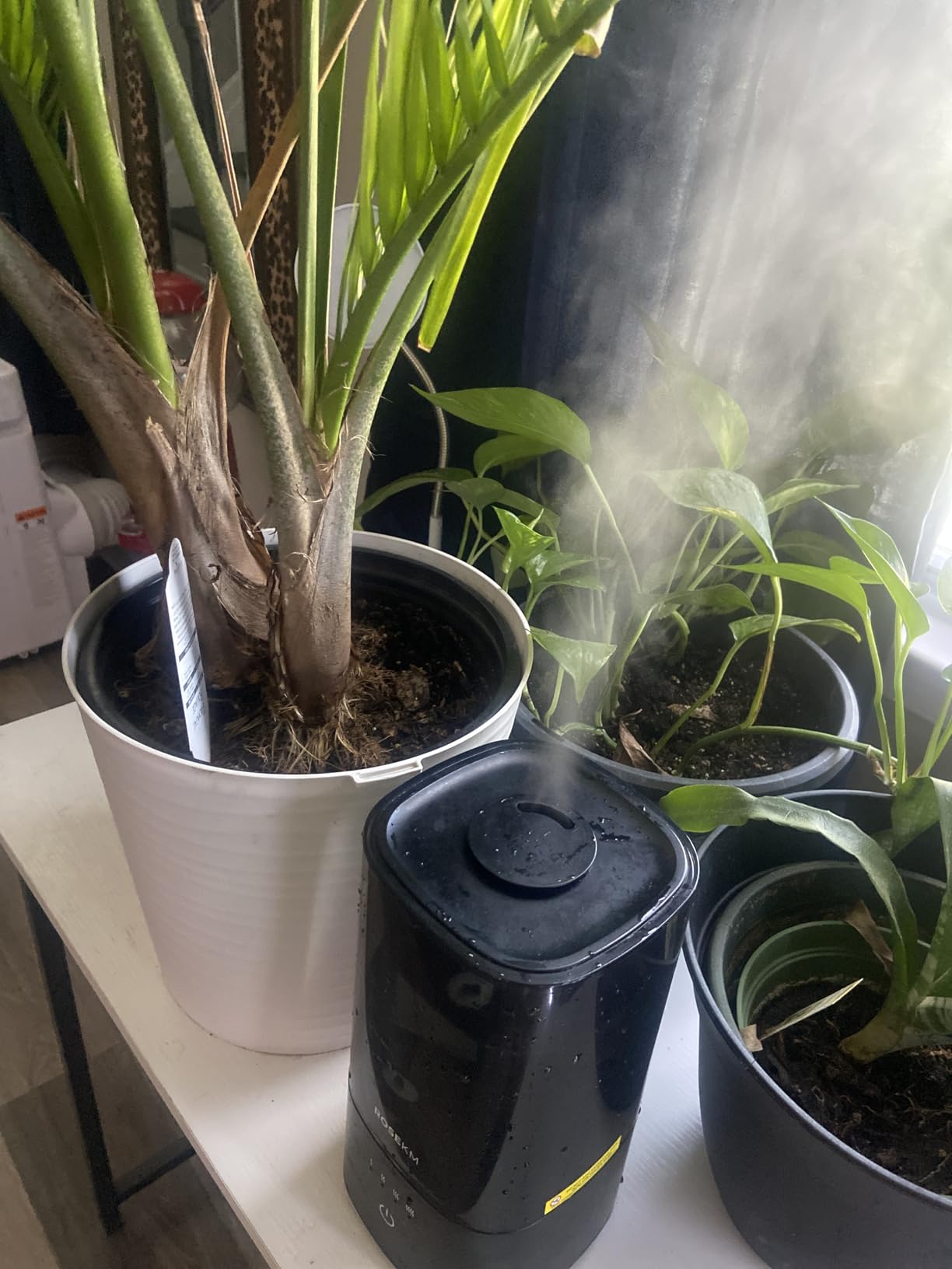 ROSEKM Humidifiers for Bedroom, 2.0L Cool Mist Humidifier for Home Plant and Baby Nursery, Quiet Ultrasonic Humidifier with 360° Nozzle, Auto Shut-Off, Filterless, Black customer photo 2