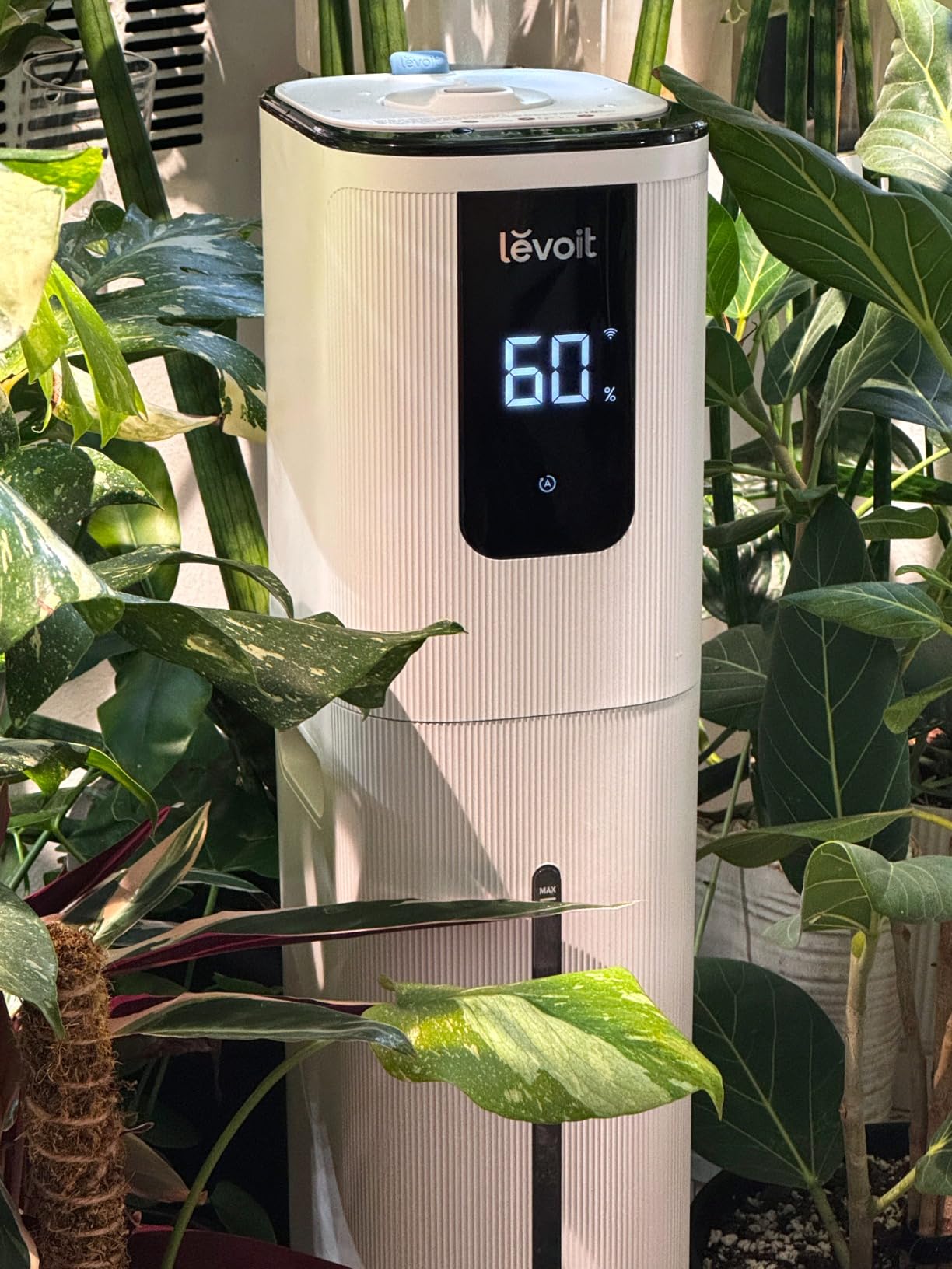 LEVOIT OasisMist 1000S (10L) Smart Humidifier for Home Large Room Bedroom, Last 100 Hours Suitable for Indoor Plant, Cover up to 600ft, Easy Top Fill, Remoter & Voice Control, Auto Mode, Quiet, White customer photo 1