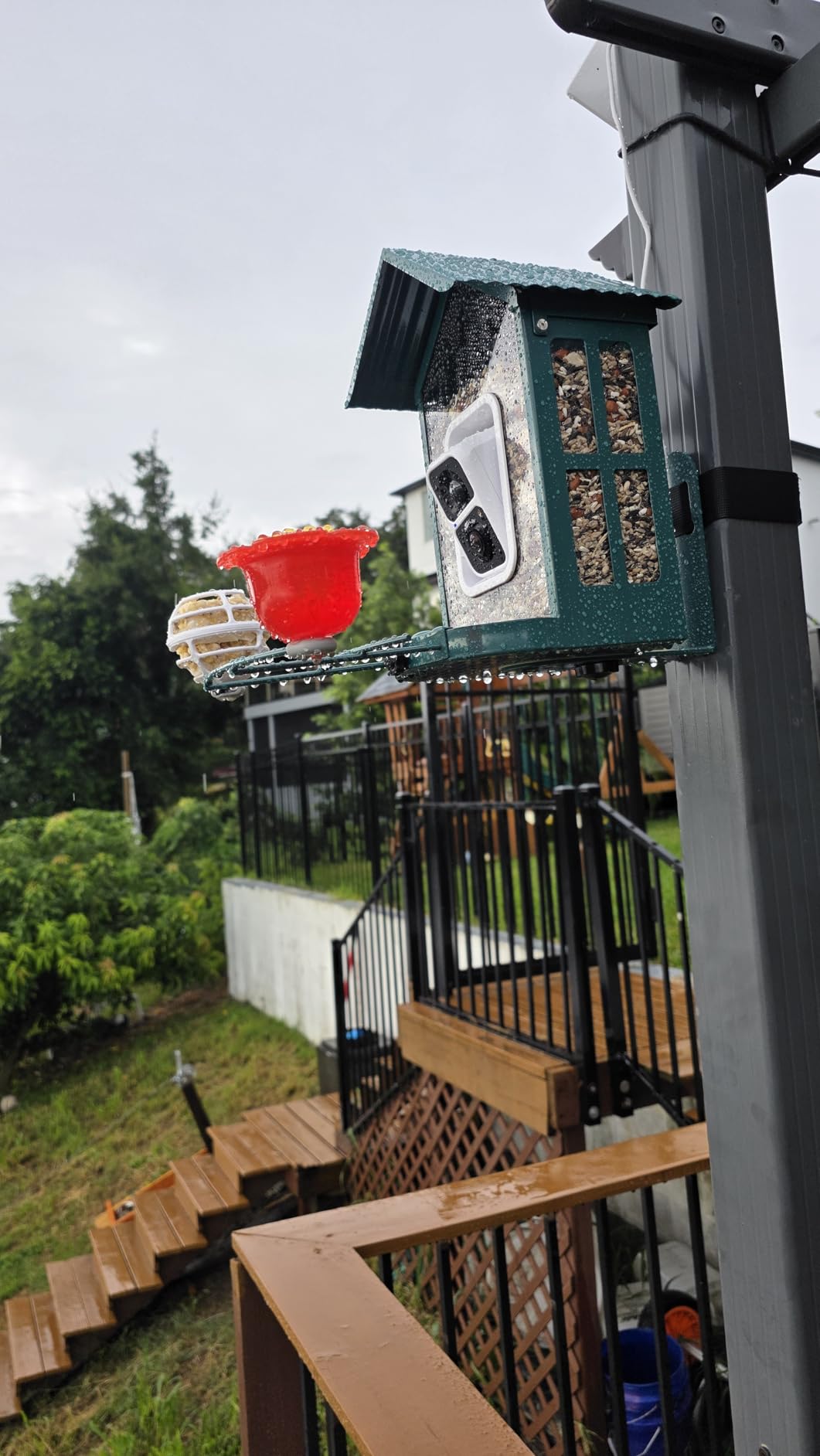 Soliom Bird Feeder with Camera, 5W Solar Powered, AI Identify Species, Smart Wild Bird Watching, 2K Live View, Instant Arrival Alerts, Large 2.7L Seed Capacity, Metal Squirrel Chew-Proof - BF08 Green customer photo 1