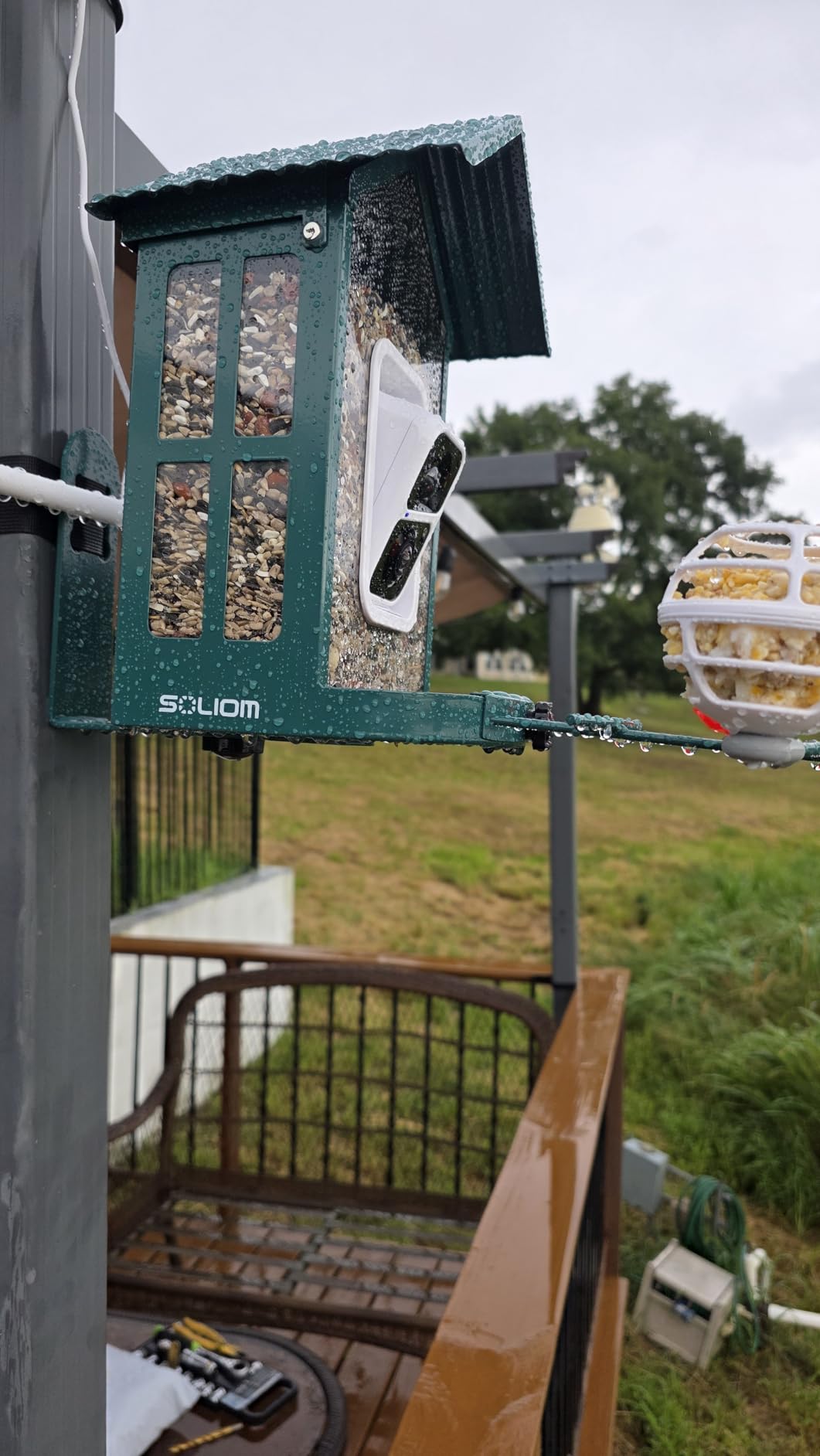 Soliom Bird Feeder with Camera, 5W Solar Powered, AI Identify Species, Smart Wild Bird Watching, 2K Live View, Instant Arrival Alerts, Large 2.7L Seed Capacity, Metal Squirrel Chew-Proof - BF08 Green customer photo 2