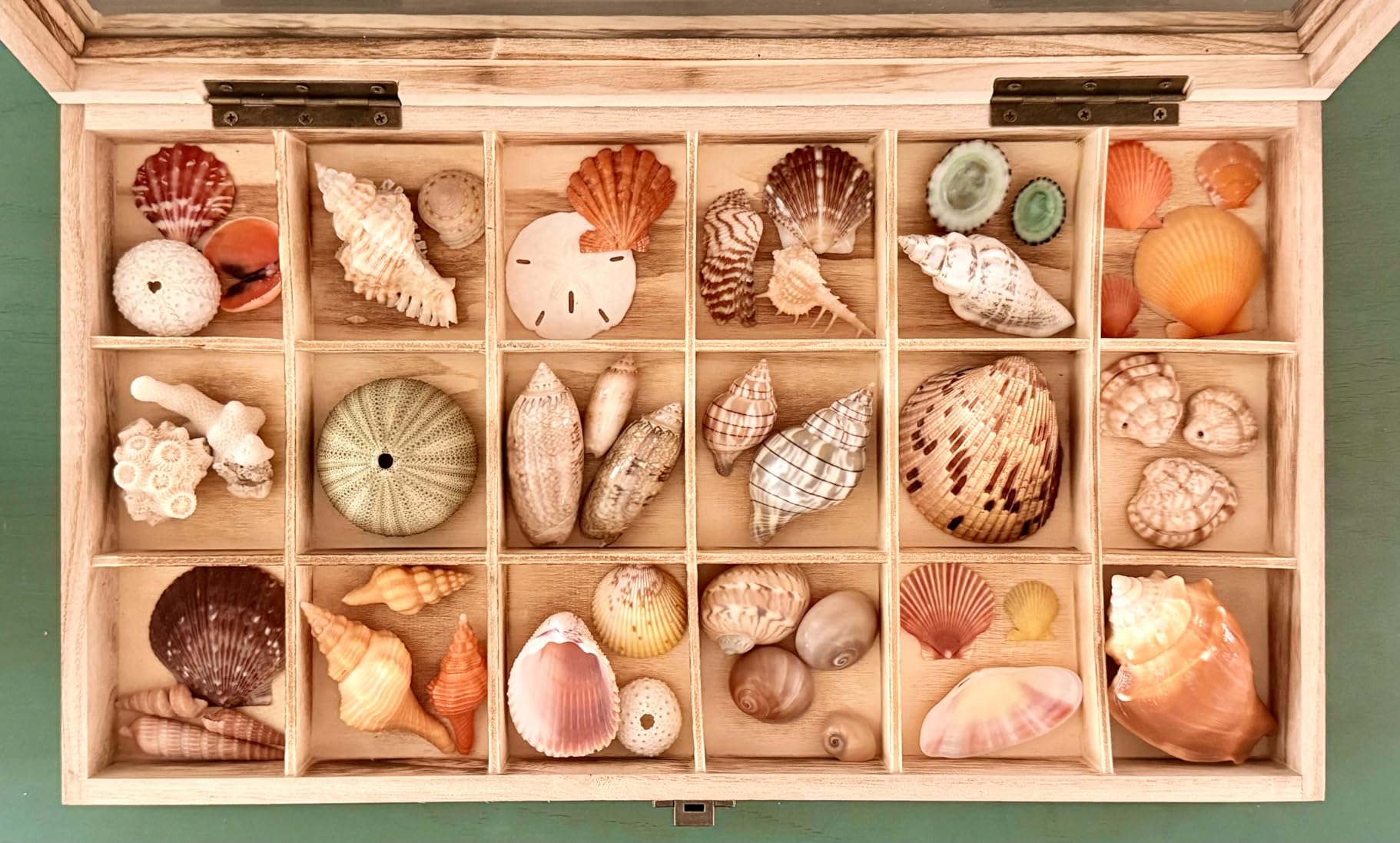 MOOCA Wooden Jewelry Display and Beads Display Storage Case with Tempered Glass Lid, 18 Compartments, 15