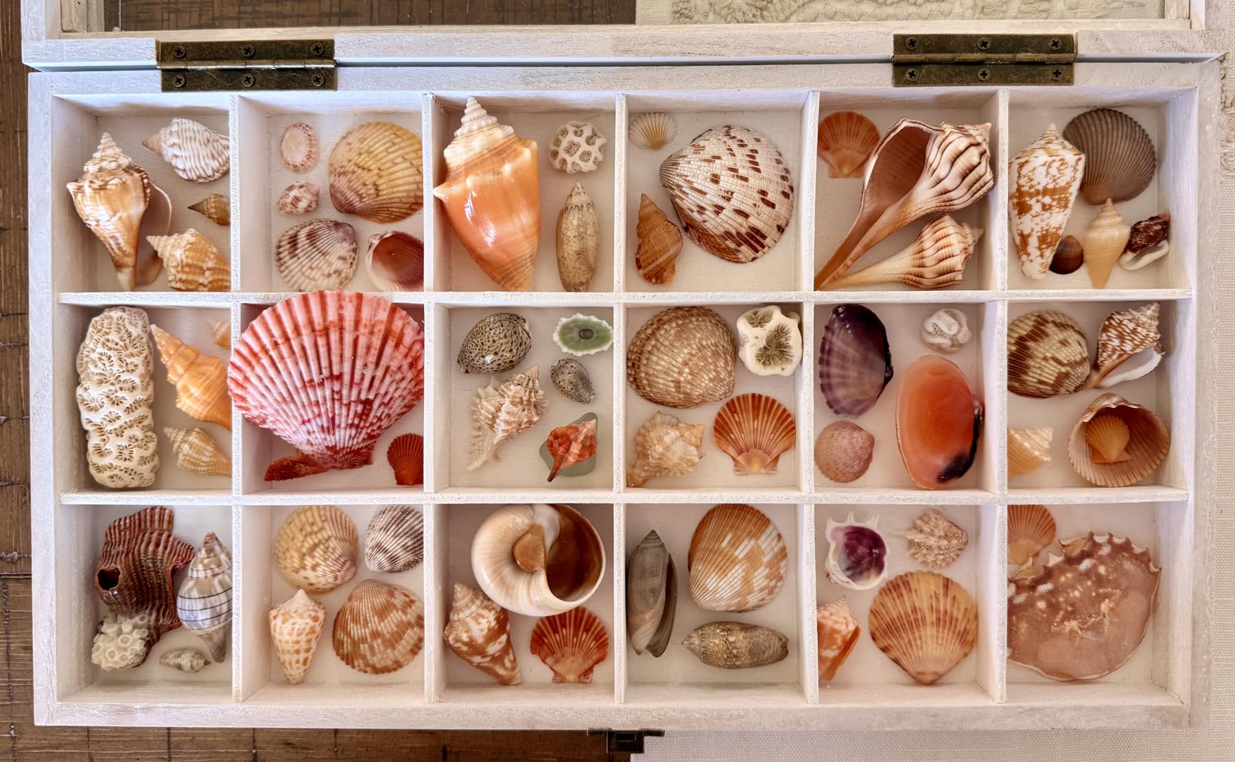 MOOCA Wooden Jewelry Display and Beads Display Storage Case with Tempered Glass Lid, 18 Compartments, 15