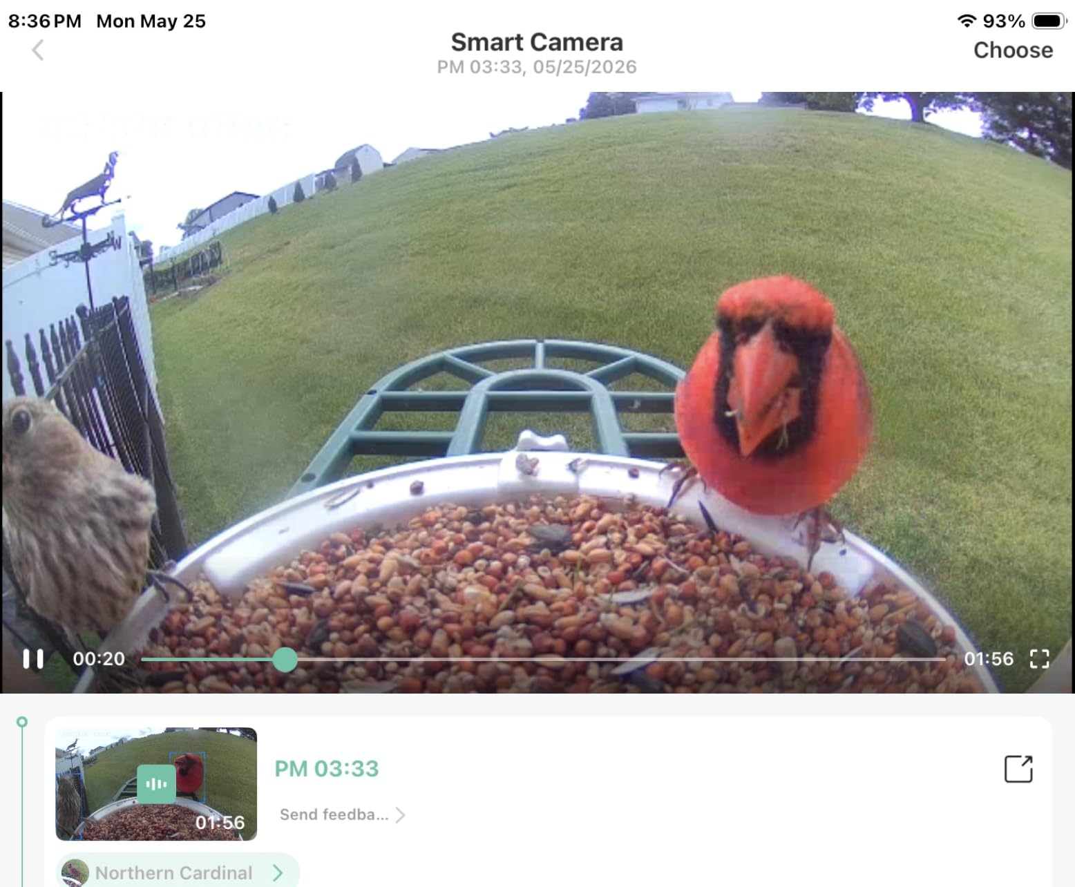 HARYMOR Bird Feeder with Camera with AI Identify Birds Species Solar Powered, Smart Bird House with Cam, 2K HD Video Live Stream, Instant Arrival Alerts - Green customer photo 2
