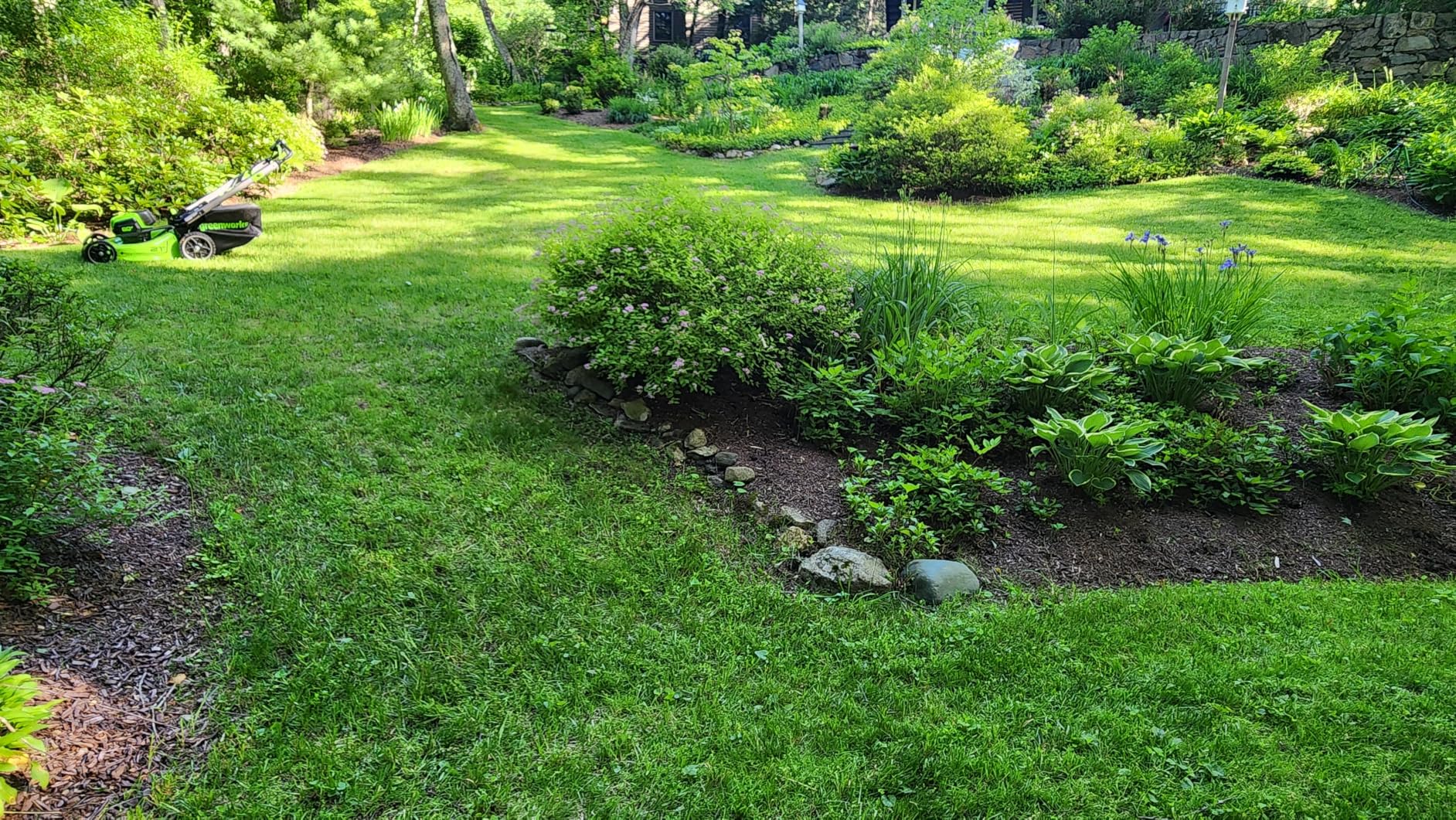 Greenworks 80V 21in Self-Propelled Lawn Mower, 4.0 Ah Battery and Charger customer photo 1