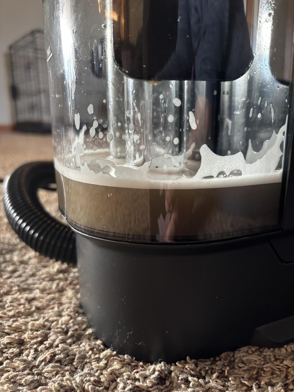 BISSELL Little Green Max Pet Portable Carpet Cleaner, 3860 customer photo 2