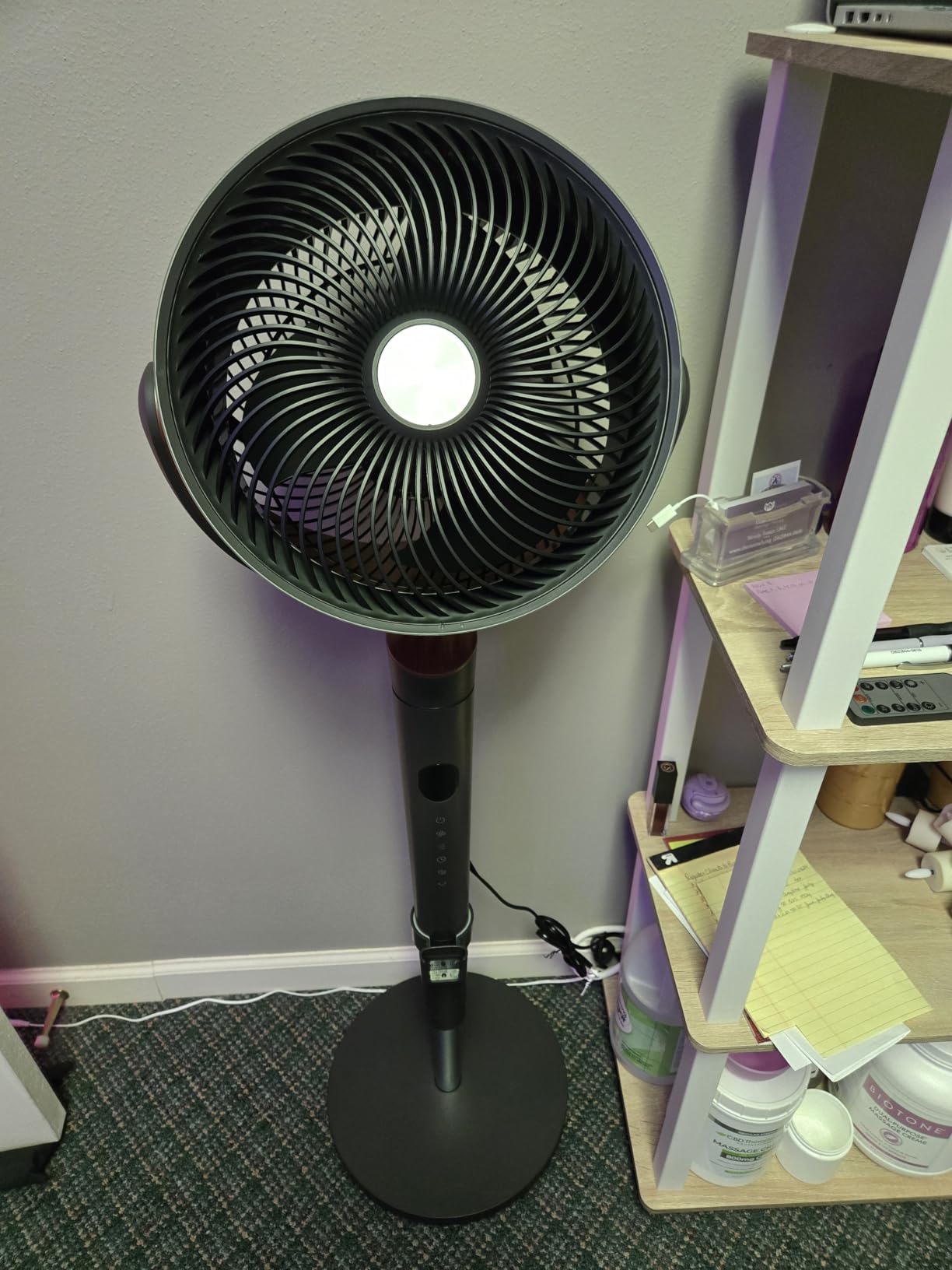 DREO Pedestal Fan for Bedroom, 100ft Airflow, Quiet DC Motor Standing Fan customer photo 2