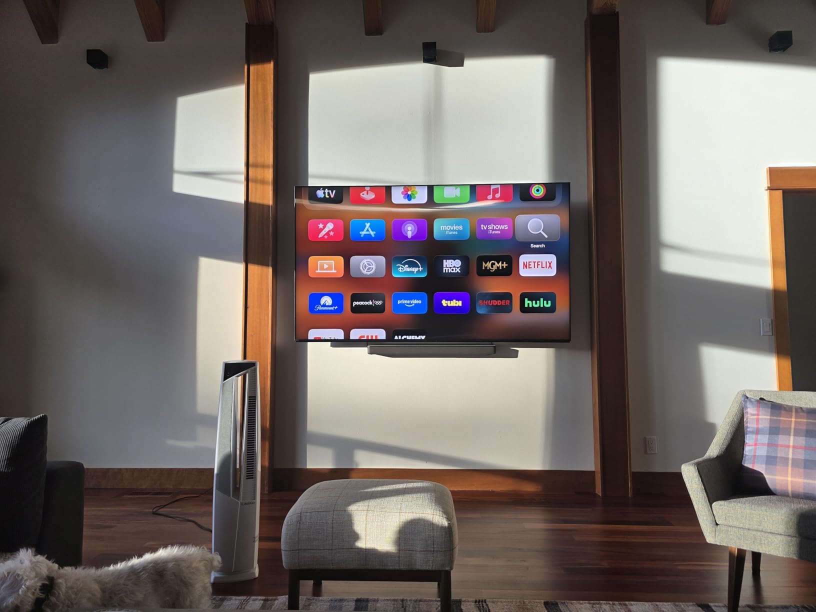 Sony 65 Inch Mini LED QLED 4K Ultra HD TV BRAVIA 9 Smart Google TV with Dolby Vision HDR and Exclusive Features for Playstation 5 (K-65XR90) customer photo 2