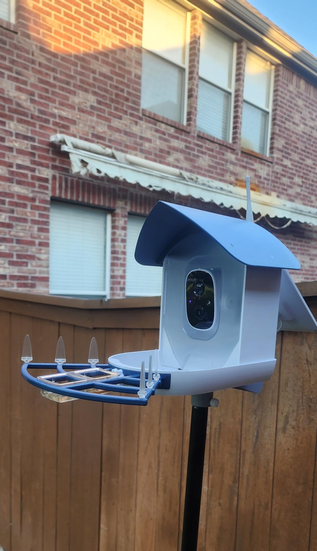 Fazoxo Bird Feeder with Camera, Birds House Camera, Solar Powered, AI Bird ID | Auto records FHD videos of birds in your backyard, Instant Notifications, Ideal gift for family and bird lovers, Navy Blue customer photo 2