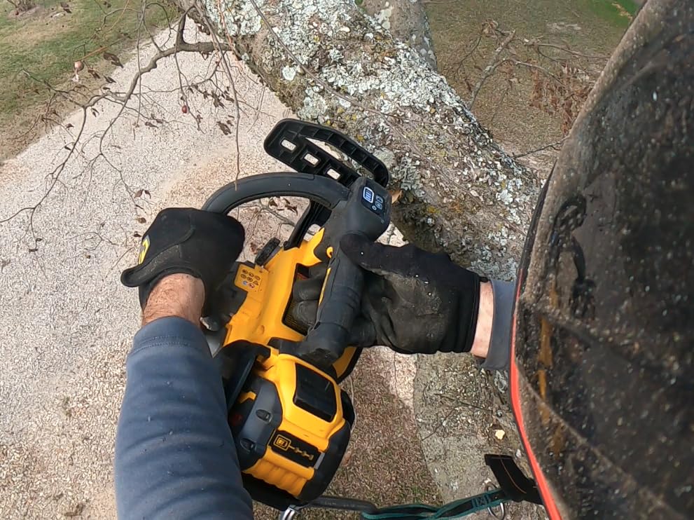 DW 60V TOP HANDLE CHAINSAW customer photo 1