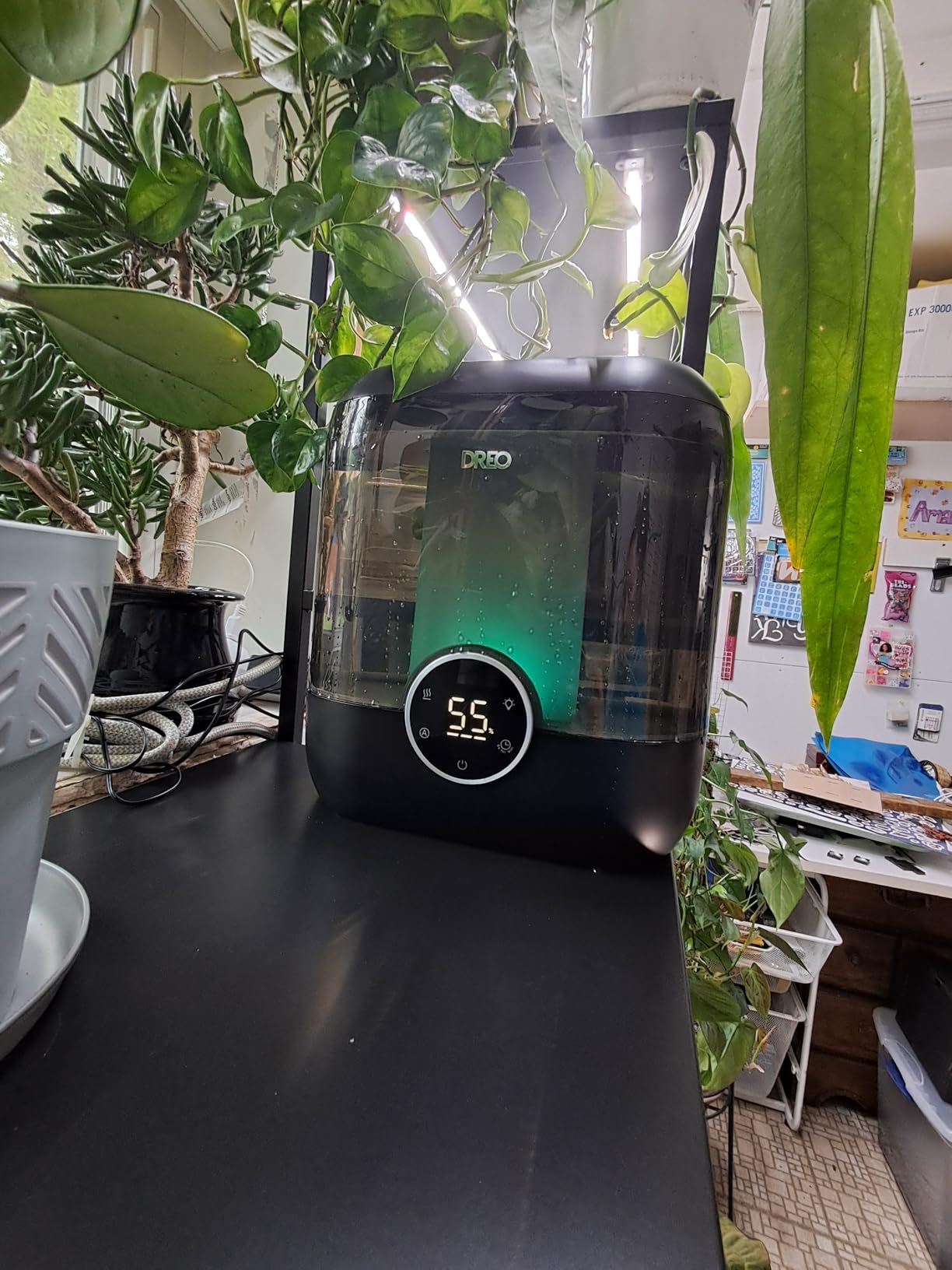 DREO 6L Smart Humidifiers for Bedroom, Large Room, 60H Runtime, Quiet 28dB | Top Fill Supersized Cool Mist Humidifier for Plants, Indoor, Home, Night Light, App/Touch/Voice Control, Ebony customer photo 1