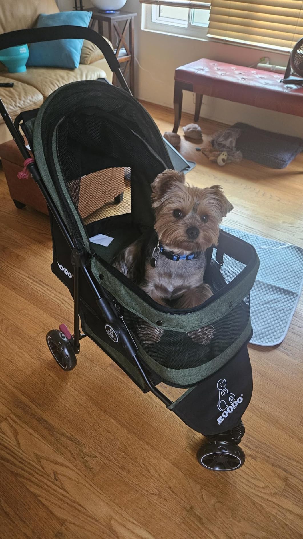 ROODO 3 Wheel Dog Pet Cat Stroller Best Lightweight Foldable Compact Portable Jogger All Terrain Travel Pet Gear Puppy Kitty Stroller for up to 30lbs Medium Small Dogs and Cats(Light Khaki) customer photo 1
