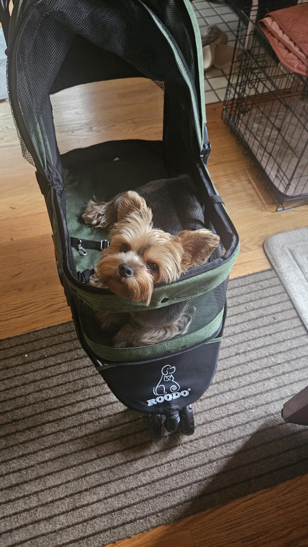 ROODO 3 Wheel Dog Pet Cat Stroller Best Lightweight Foldable Compact Portable Jogger All Terrain Travel Pet Gear Puppy Kitty Stroller for up to 30lbs Medium Small Dogs and Cats(Light Khaki) customer photo 2